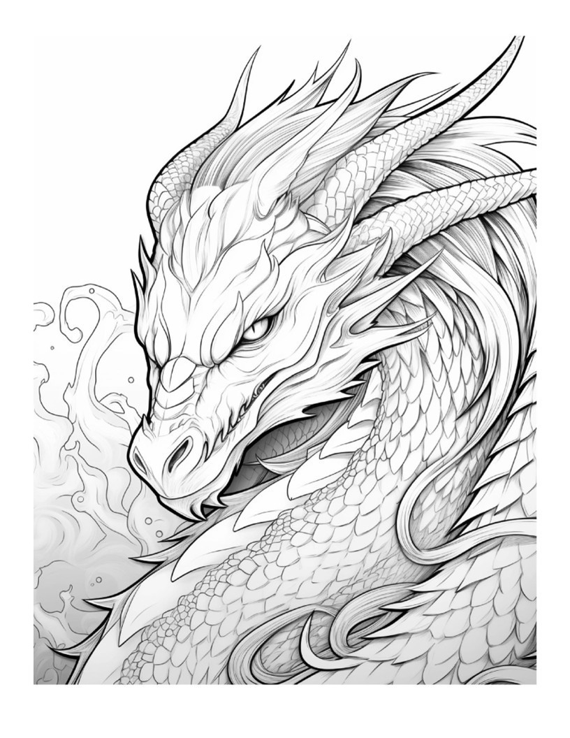 Dragon Coloring bookhours of fun for all