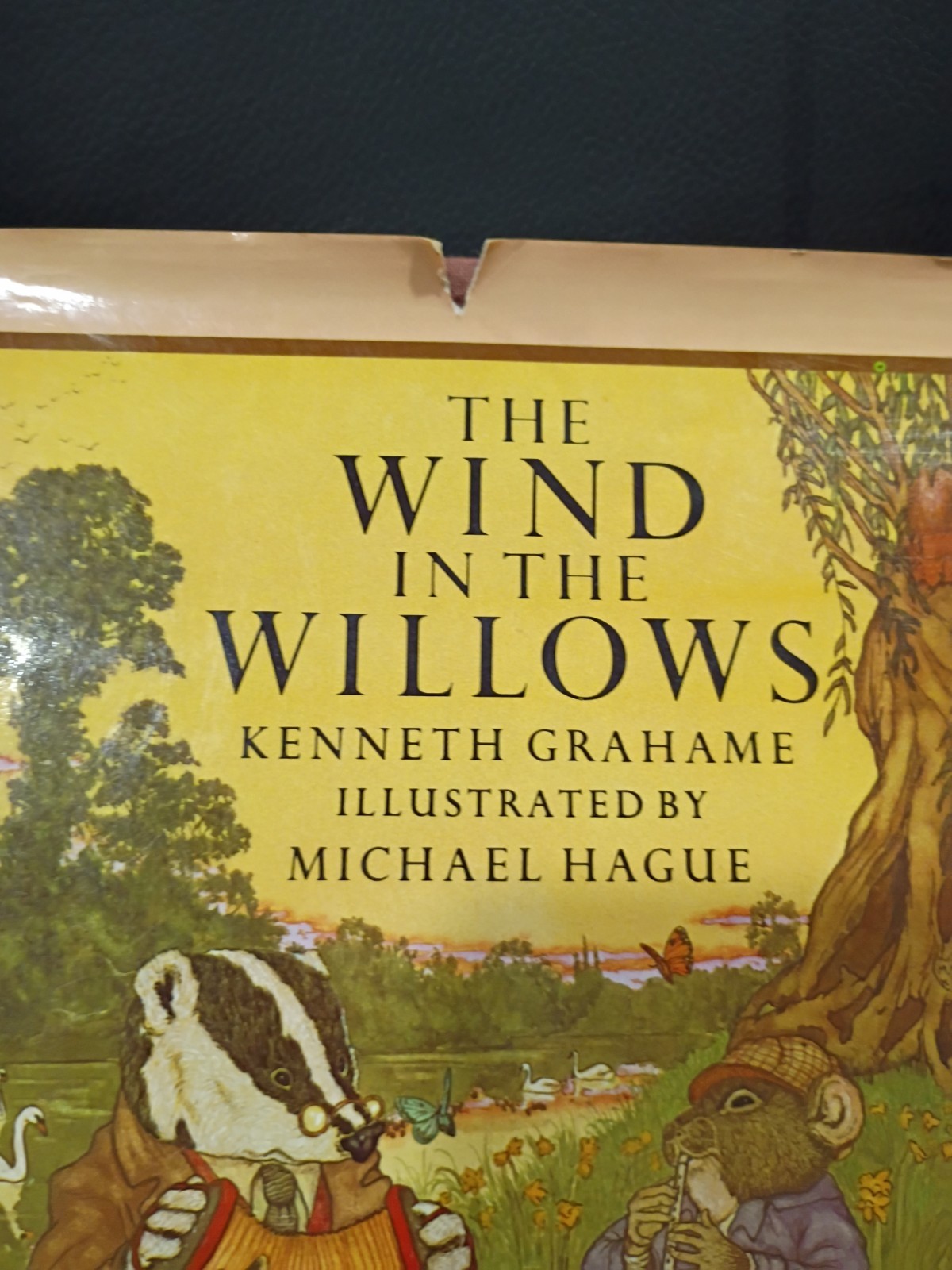 1980 The Wind in the Willows 1st Ed w/ Dust Jacket Kenneth Grahame Michael Hague