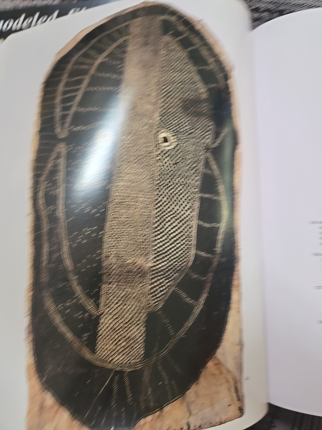 Oceanic Art: Papua New Guinea, Melanesia, Polynesia: Kaufmann, Kaeppler, Newton
