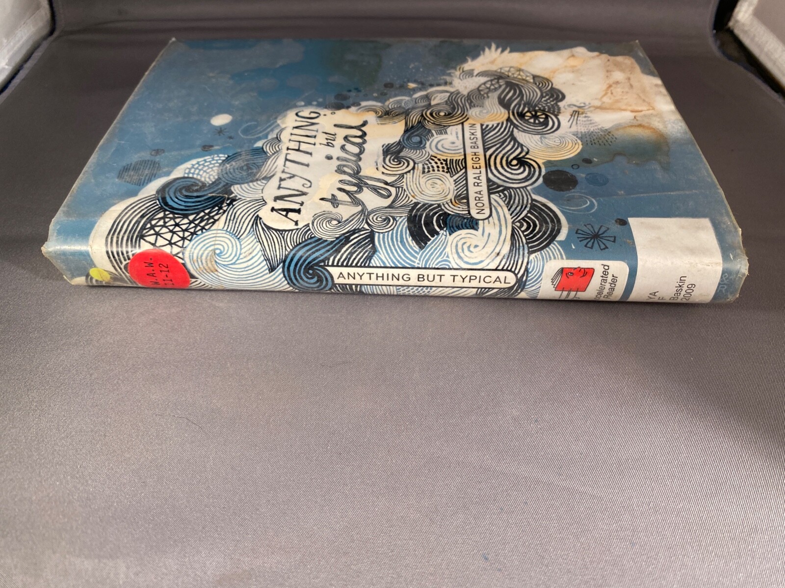 Anything But Typical by Nora Raleigh Baskin Hardcover Dust Jacket Ex-Library