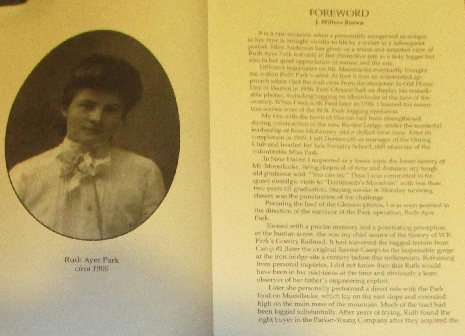 2001 Lumber Queen by Ellen C. Anderson SIGNED Softcover Book 166 Pages