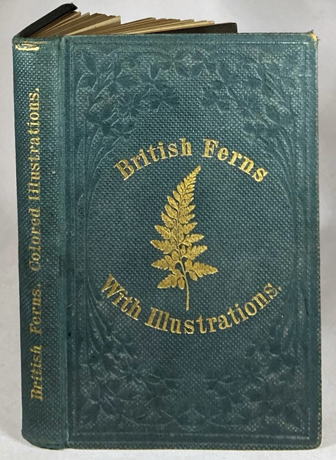 BRITISH FERNS Botany HAND COLORED PLATES Natural History LANKESTER Antique c1860