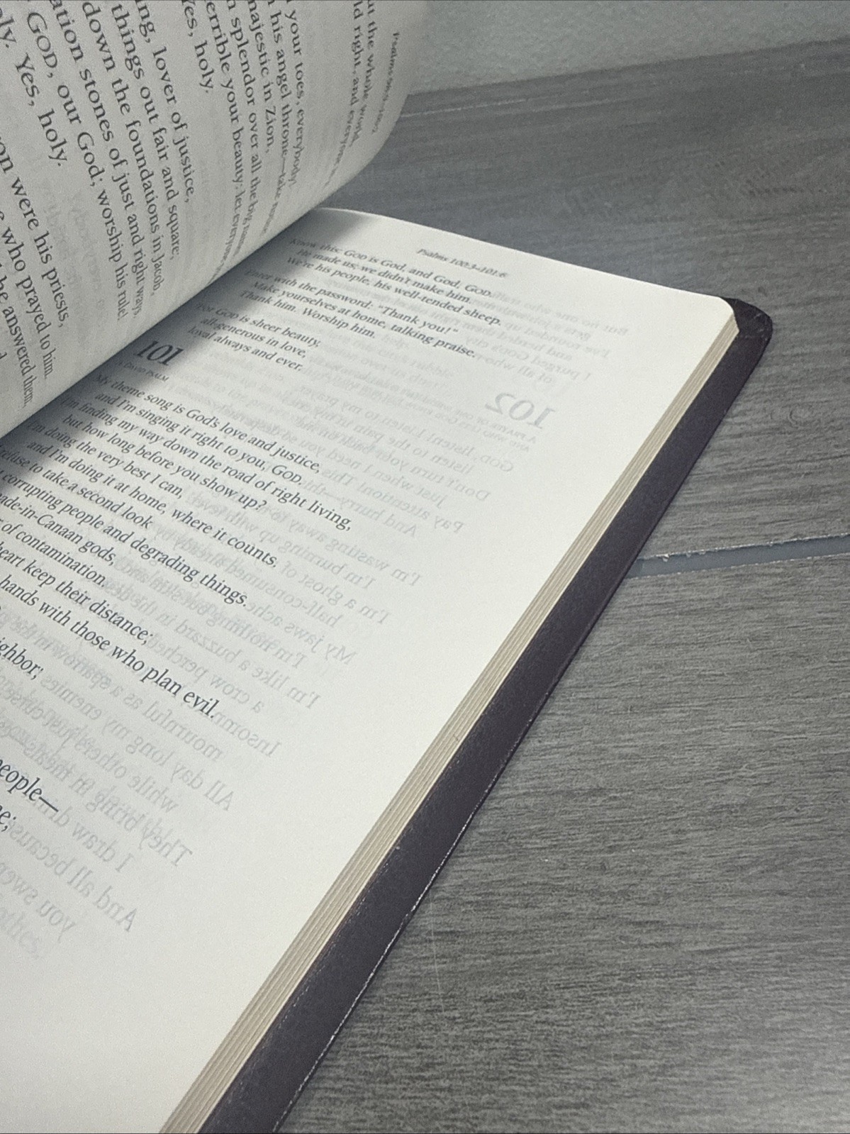 The Message Study Bible: Capturing the Notes and Reflections of Eugene Peterson