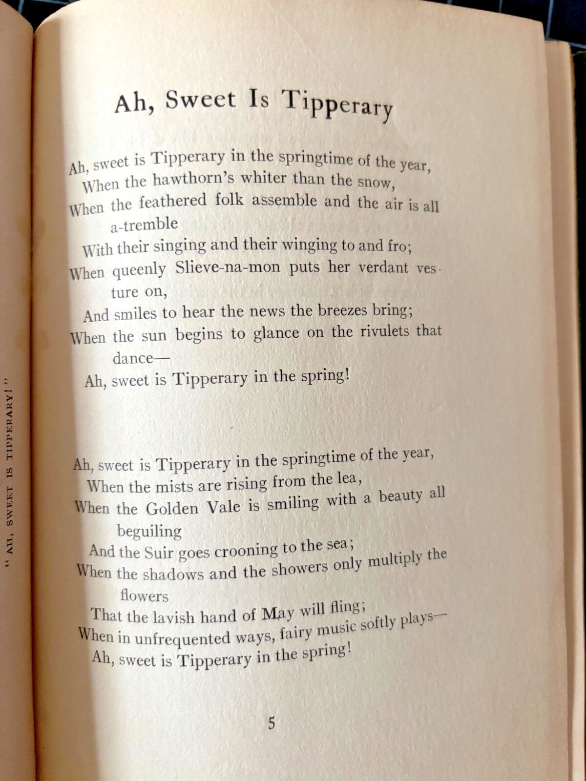 Irish Poetry Book 1906 First Edition Inscribed Author Denis McCarthy Angel Guard