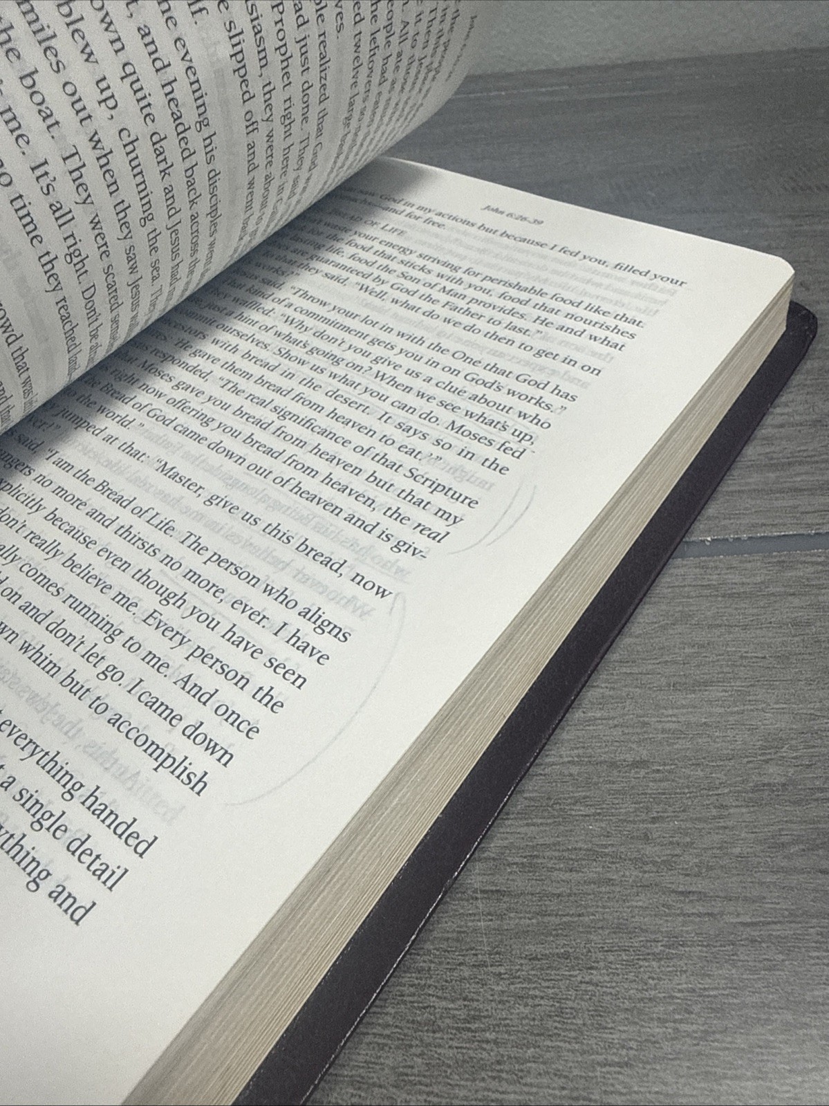 The Message Study Bible: Capturing the Notes and Reflections of Eugene Peterson