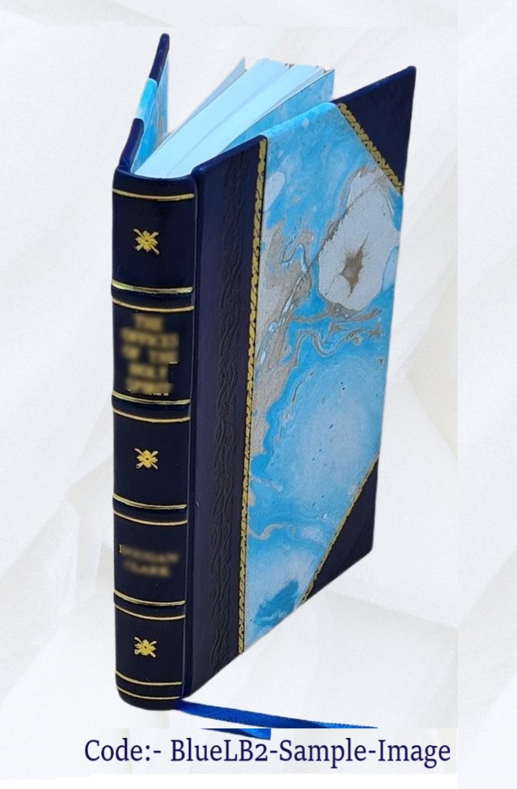The Consistency Of The Whole Scheme Of Revelation With Itself An [Leather Bound]