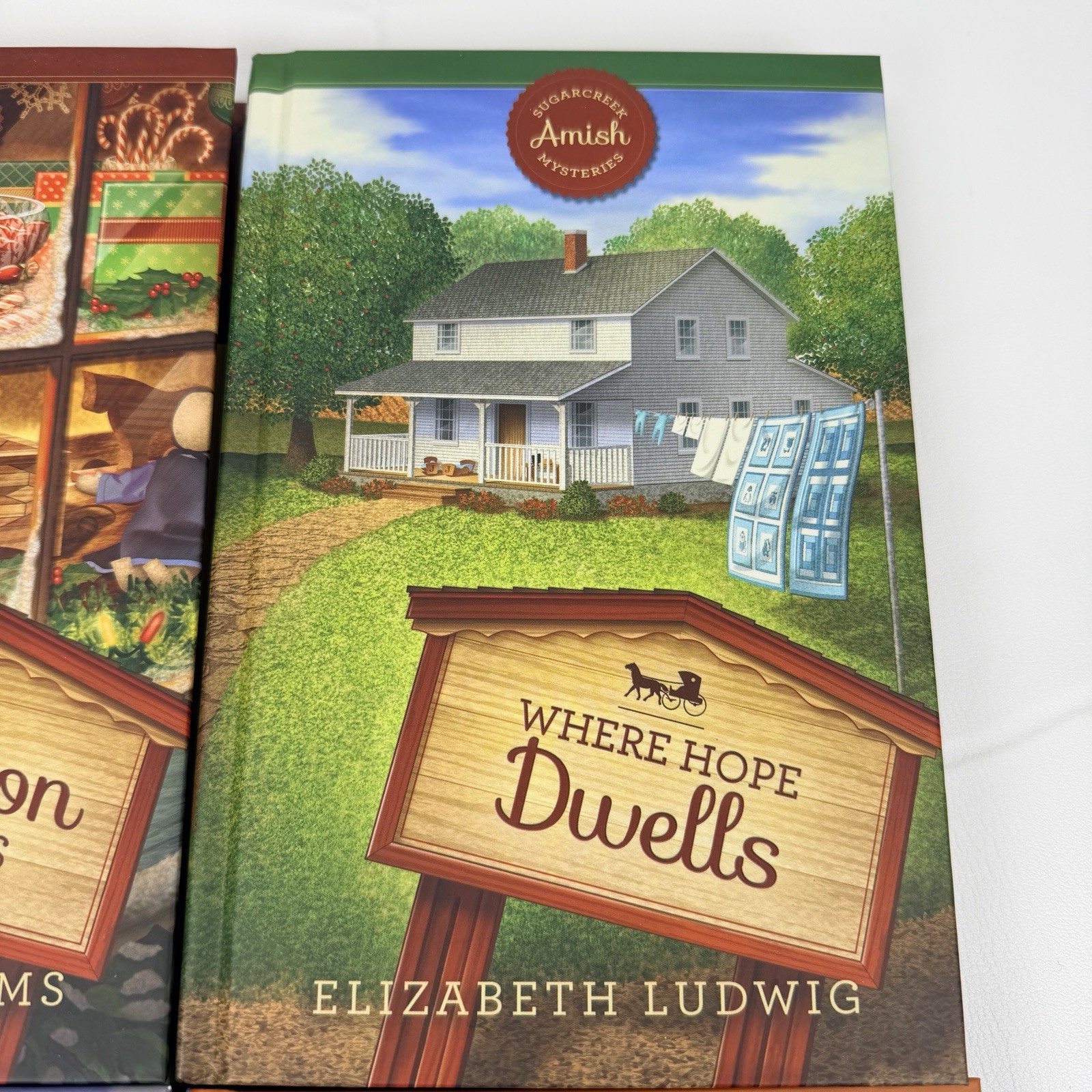 Lot of 4 Sugarcreek Amish Mysteries Hardcover Books Guideposts Season of Secrets