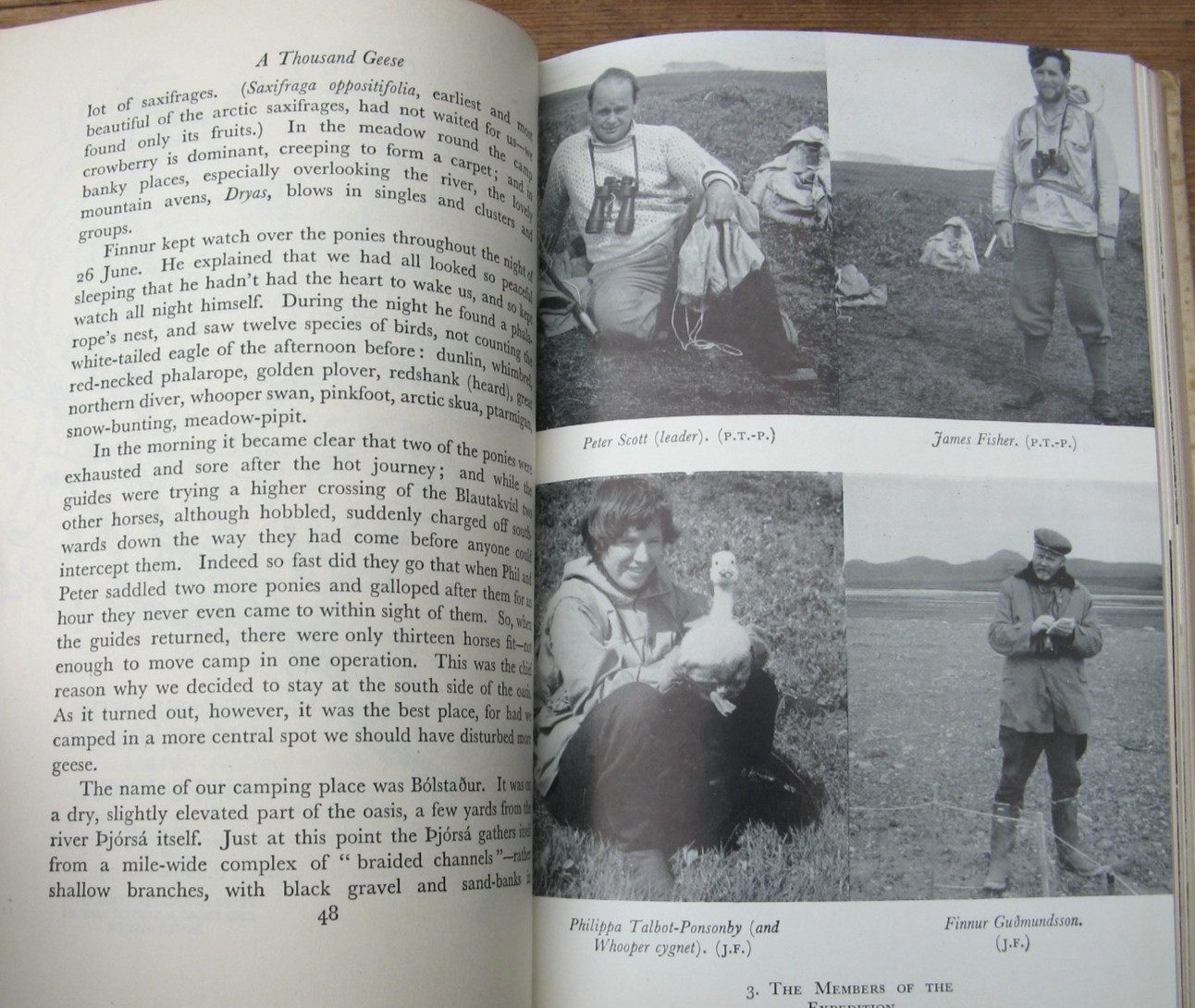 1953 A Thousand Geese- Peter Scott James Fisher 1st Edition