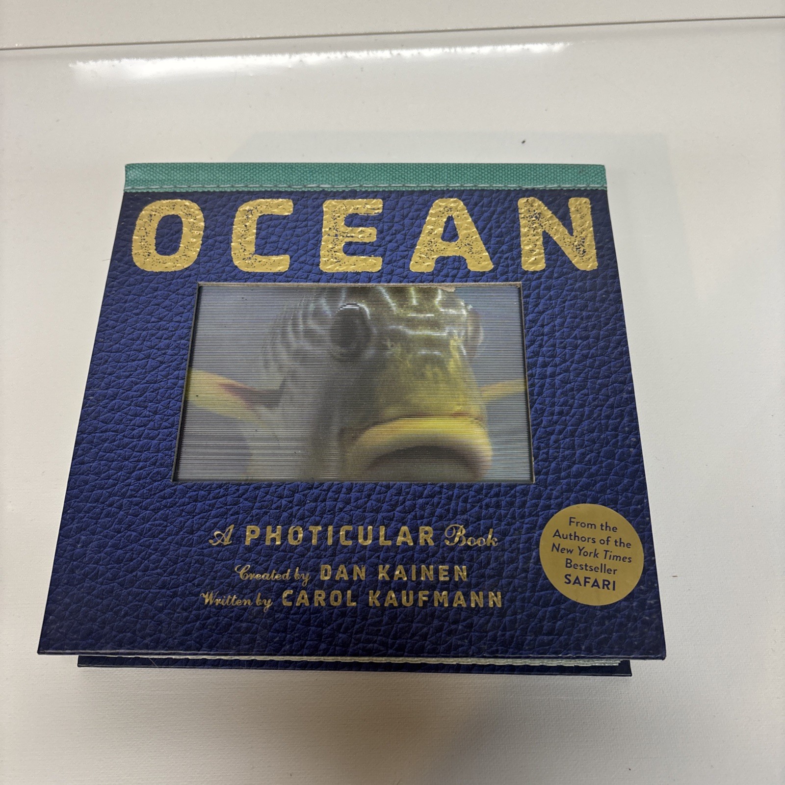 Ocean : A Photicular Book by Carol Kaufmann and Dan Kainen (2014, Hardcover)