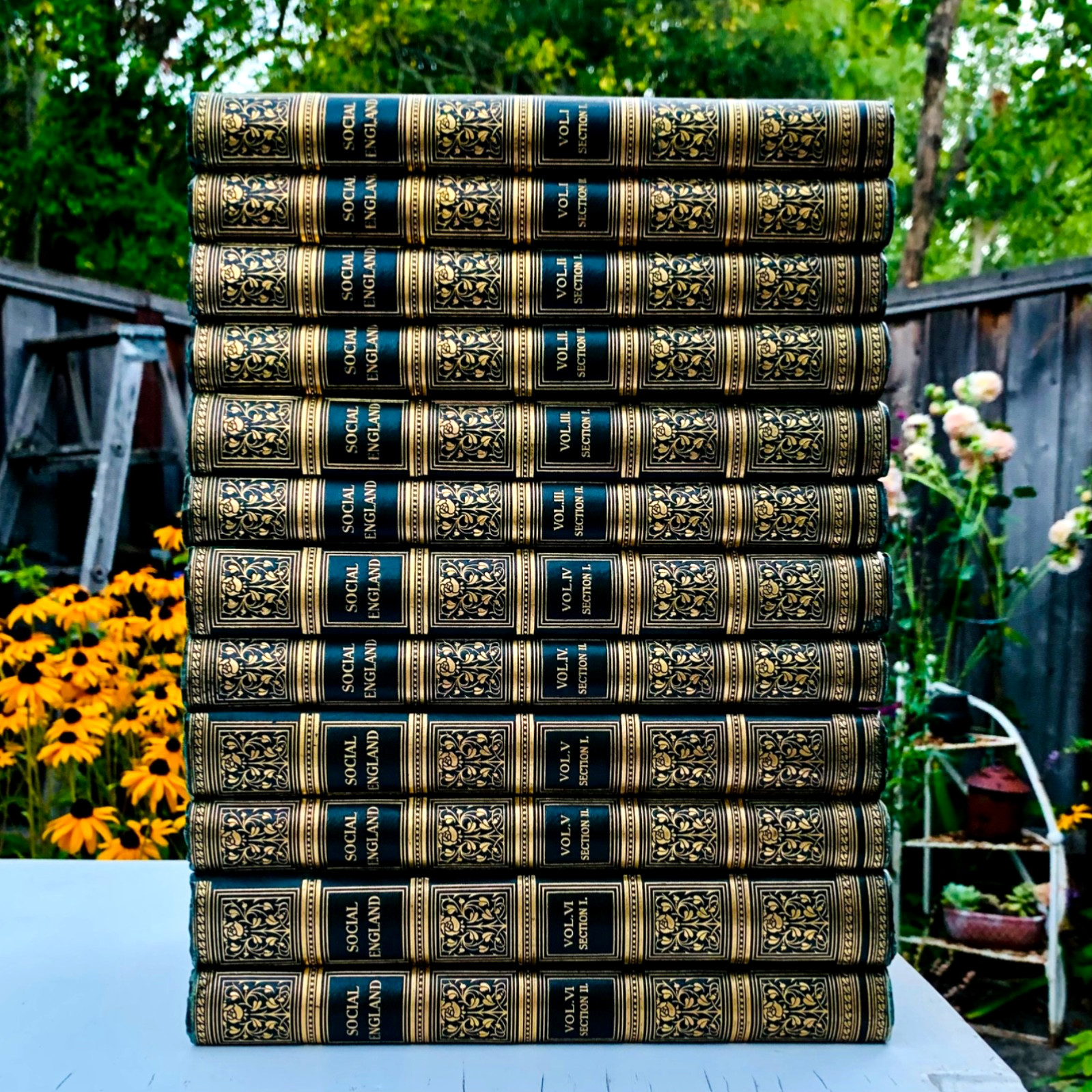 1901 Illustrated Edition “Social England” 12 Antique Books Cassel Fine Binding