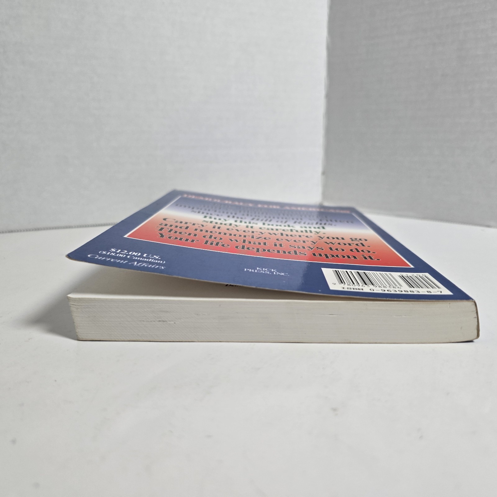 Democracy for Americans: A Real Plan to Reinvent the Govt Vincent Mountjoy-Pepka