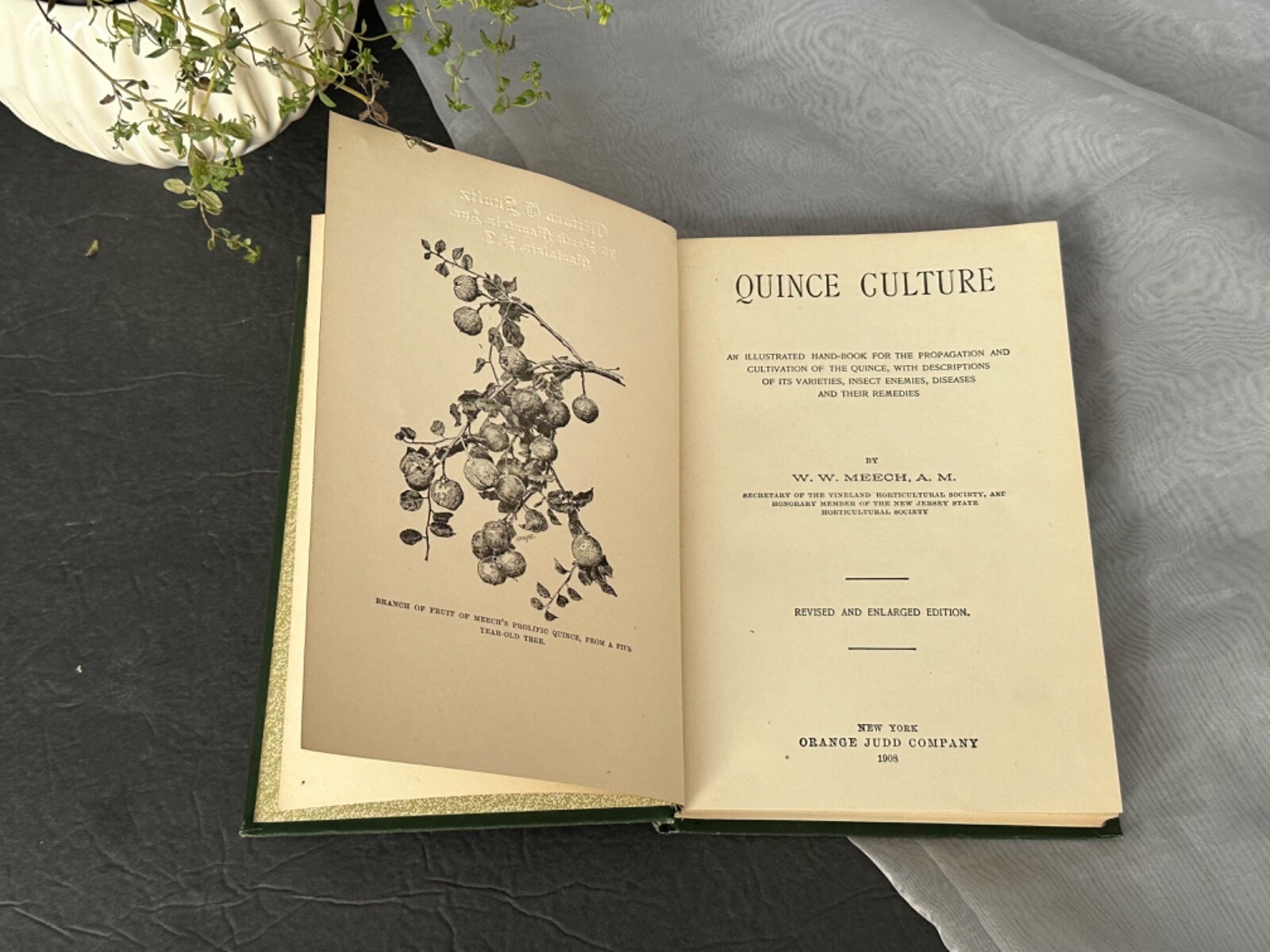 Quince Culture Meech Antique Agriculture Book Vintage Farming