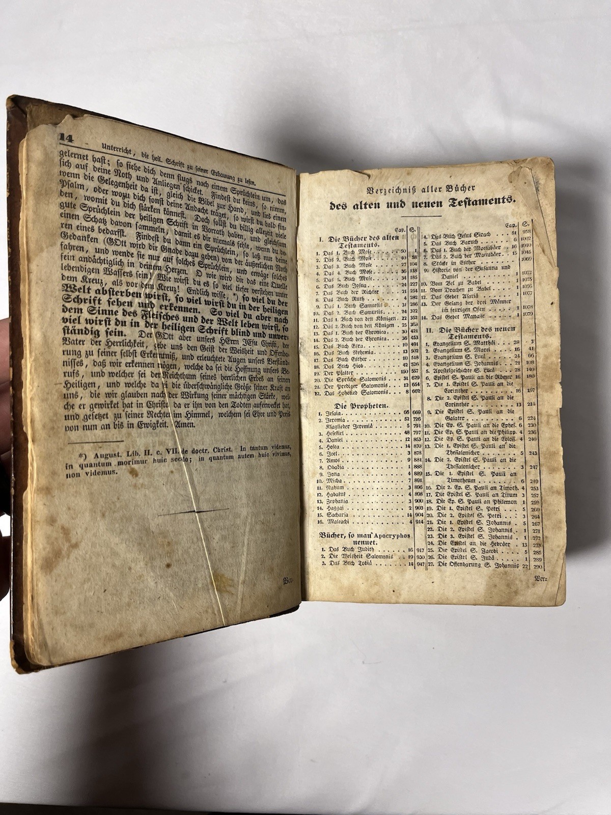 1847 German Luther Bible Die Bibel Heilige Schrift Antique Leather Bound