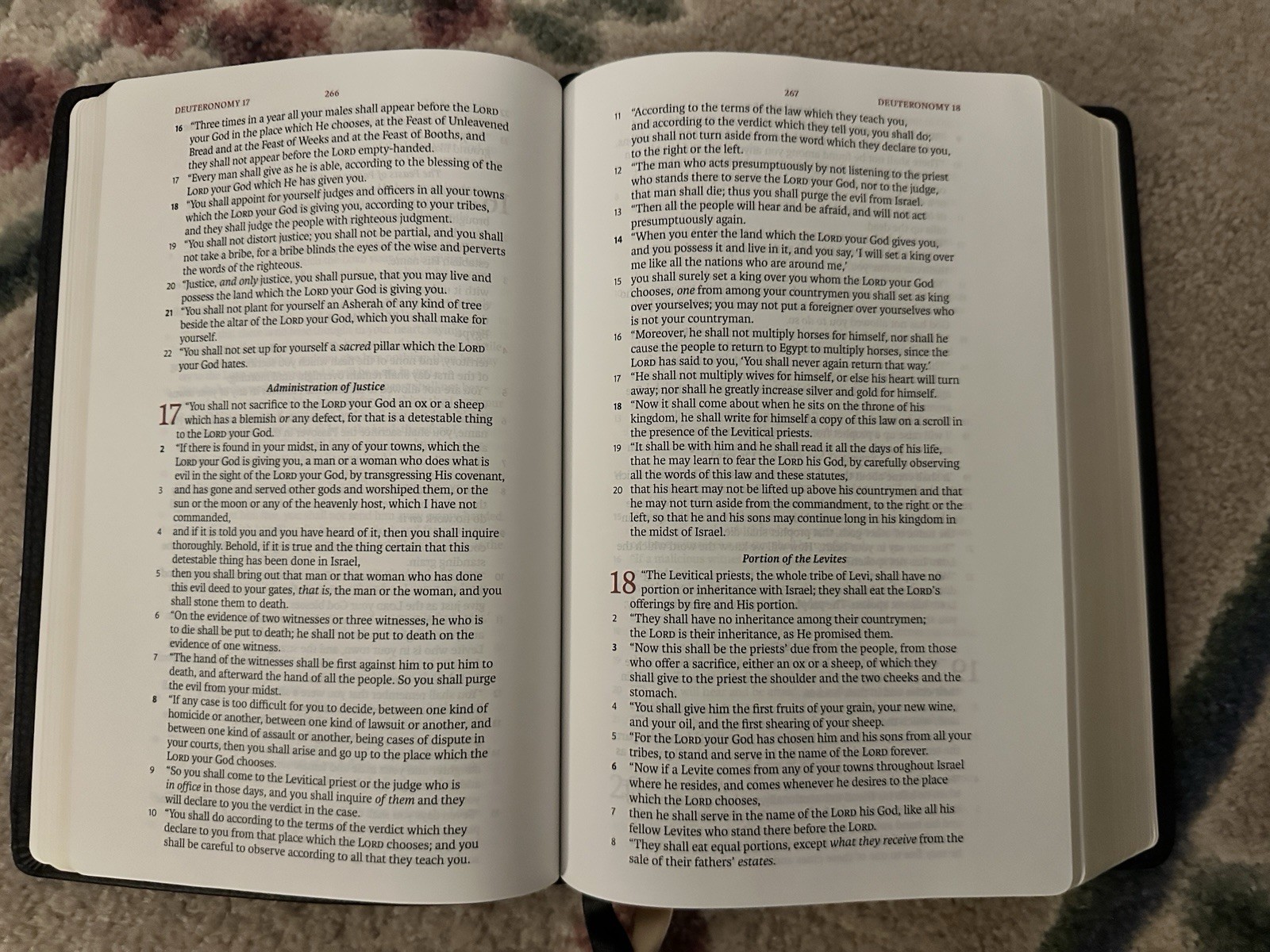 Steadfast Bibles NASB’95 Handy Size Black Cowhide