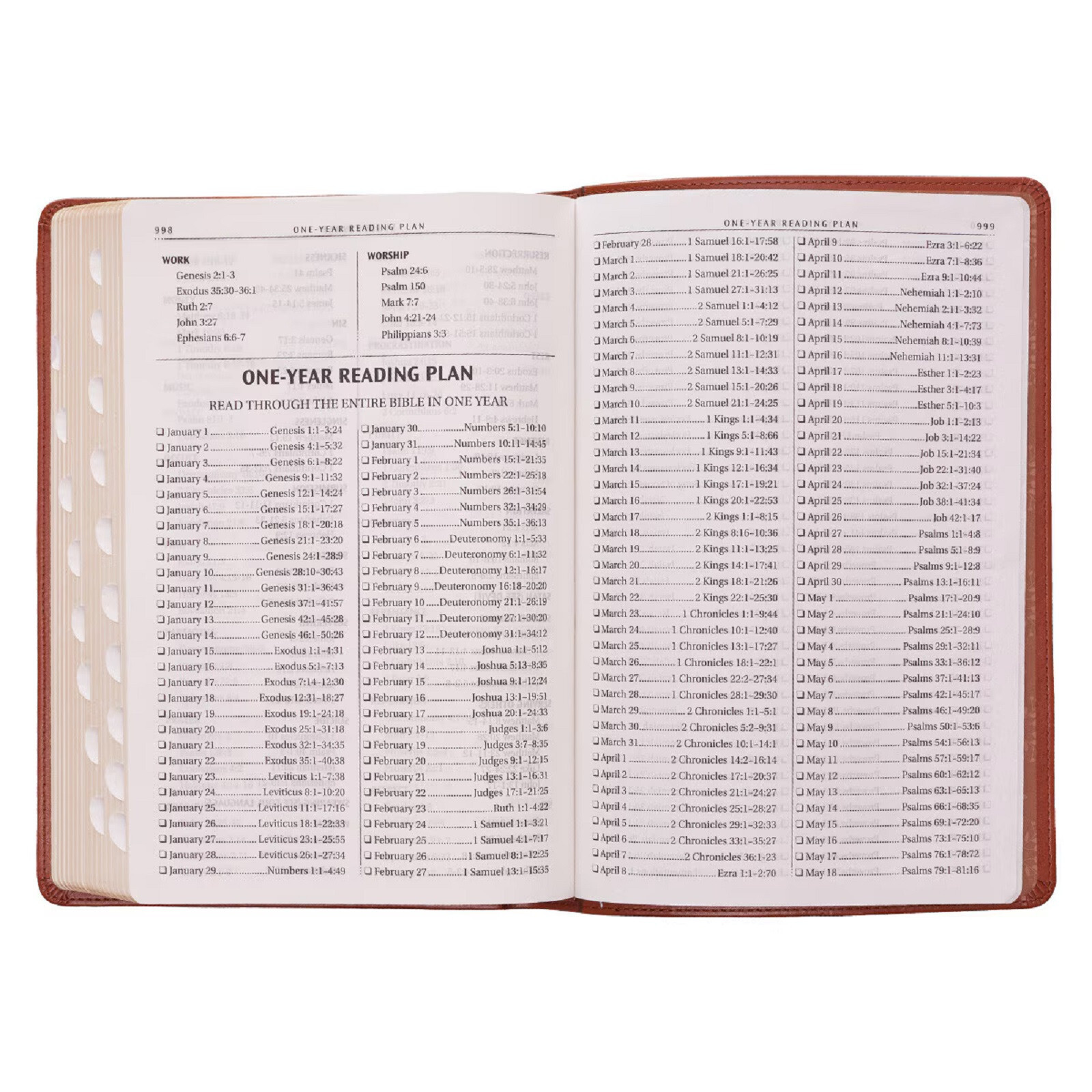 KJV Tan Large Print Thumb Index Edition BRAND NEW in Shrink Wrap!!!