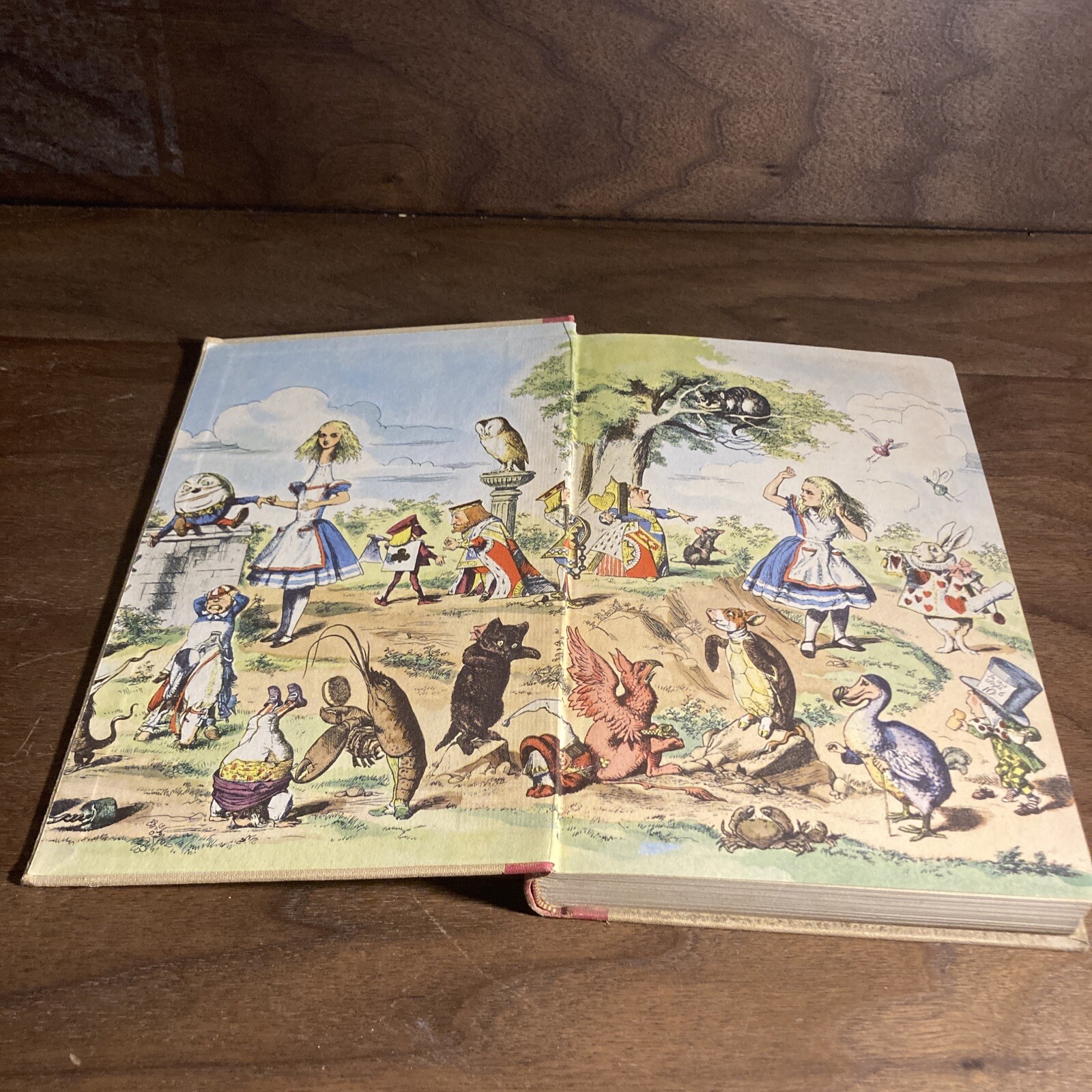 Alice in Wonderland & Through The Looking Glass Illustrated 1946 HC Book Carroll