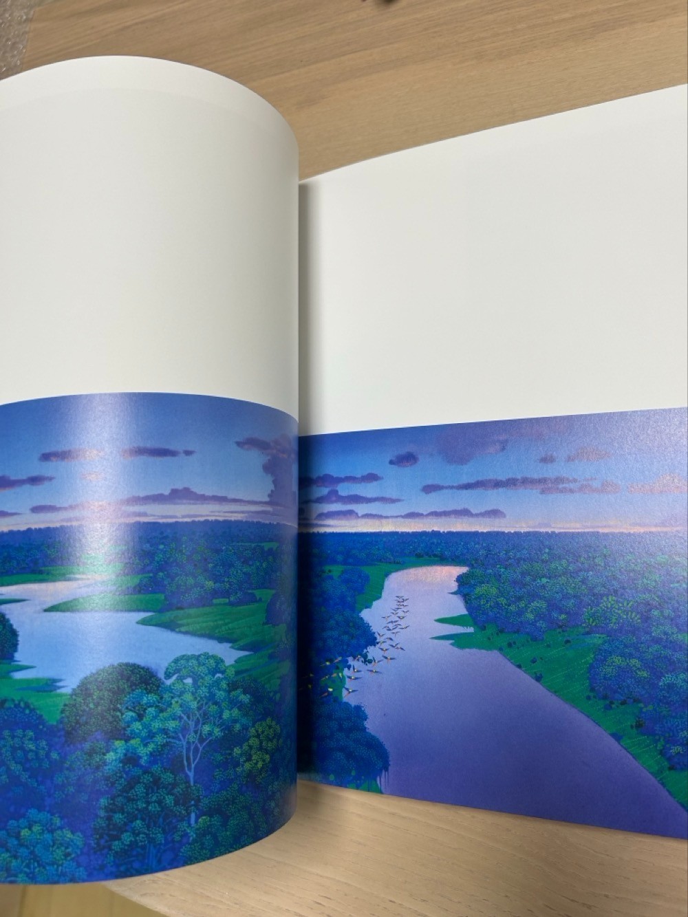 Hiroo Isono Emerald Forest + Emerald Dream Art Books Set Secret of Mana Artist