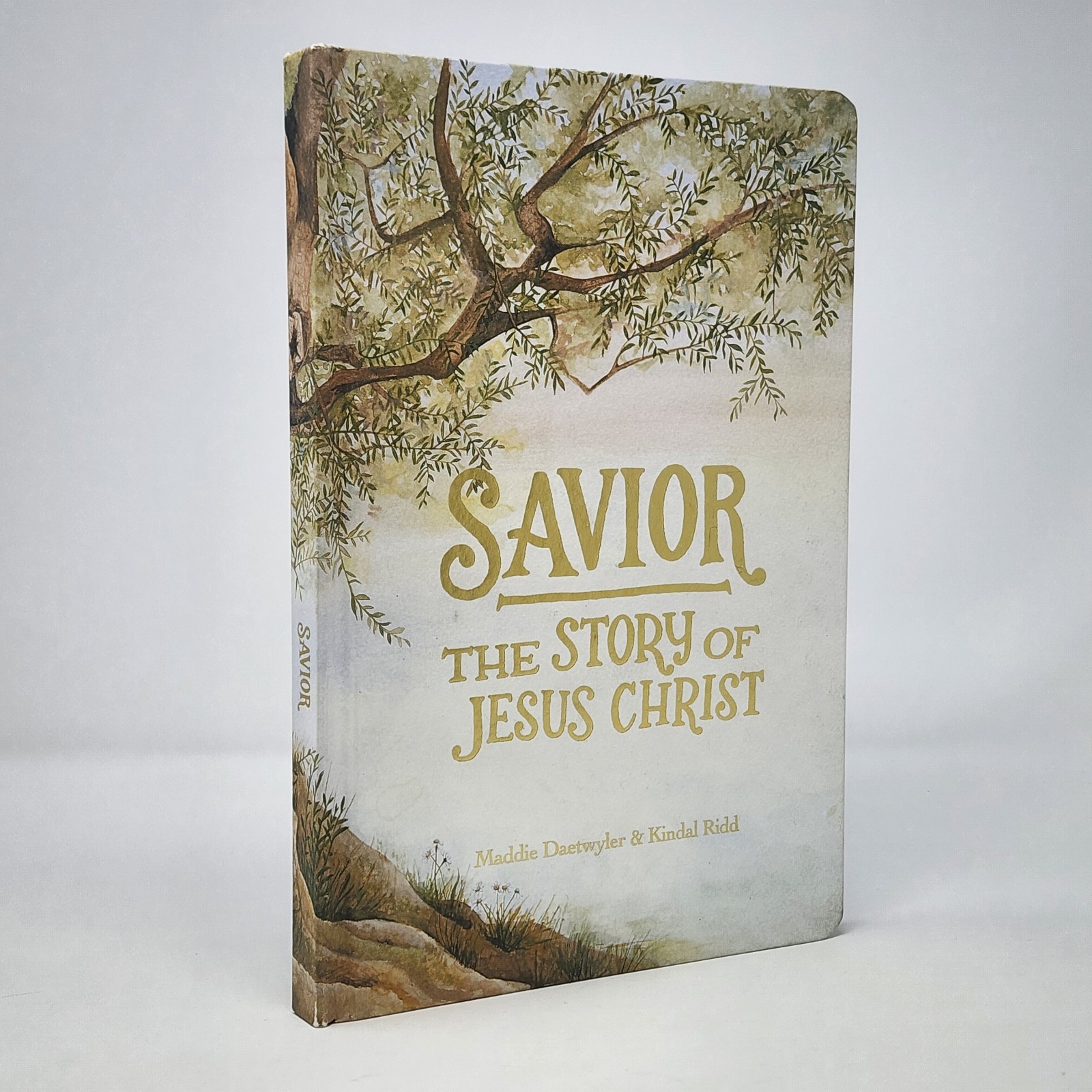 Savior : The Story of Jesus Christ Hardcover 2021 Maddie Daetwyler Kindal Ridd