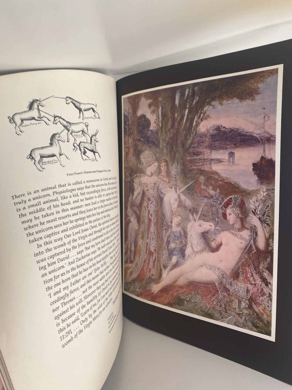 A Book Of Unicorns Paperback Green Tiger Press W/ 12 Removable Art Prints 1978