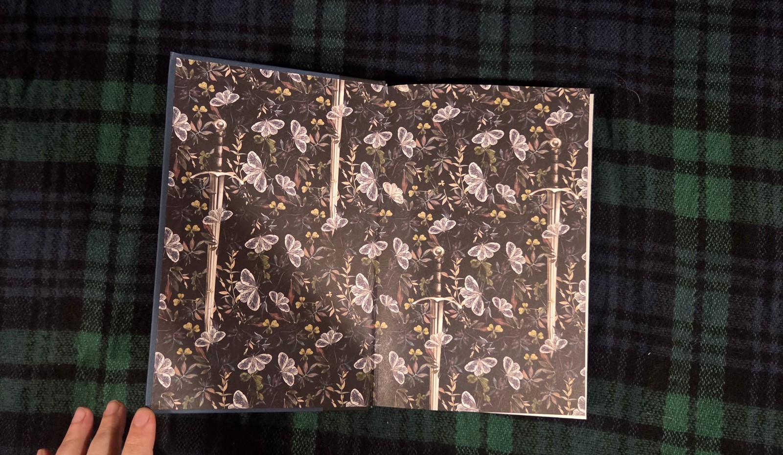 The Knight And The Moth By Rachel Gillig, Barnes & Noble Edition, Unsigned