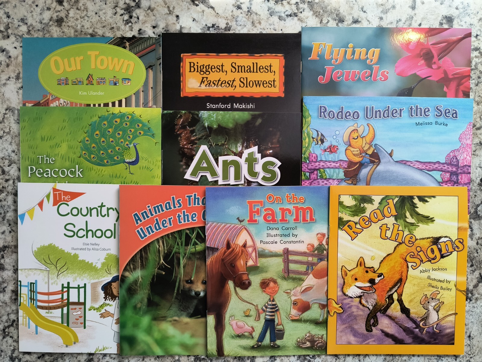 HMH Literacy Rigby PM Leveled Library Readers Grade 1 Levels C-K Into Reading