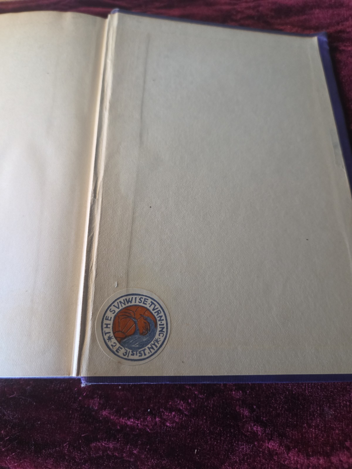 Sons and Lovers by D.H. LAWRENCE ~ First Edition 1913 ~ 1st US Printing