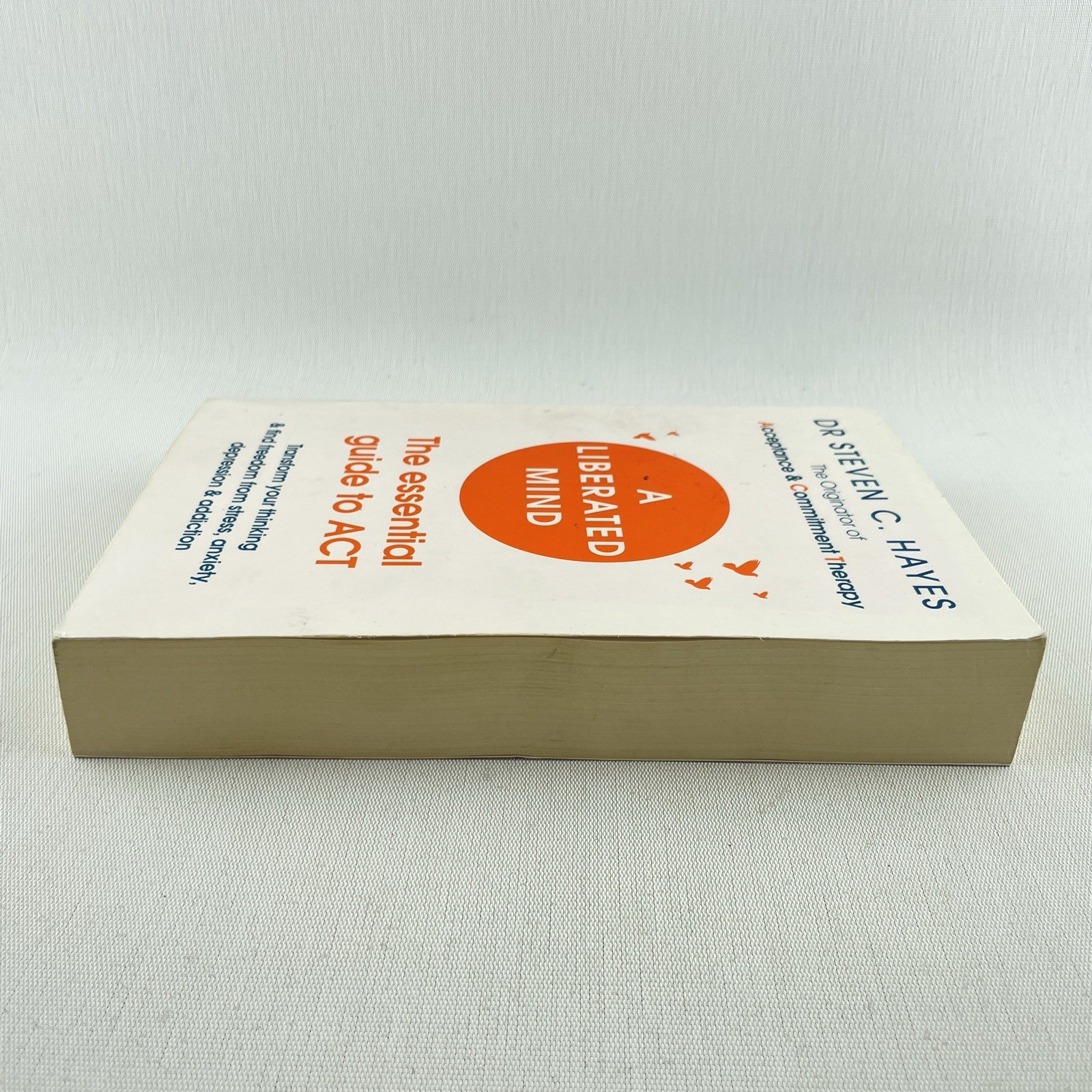 A Liberated Mind: The Essential Guide to Act by Dr Steven C Hayes Paperback Book