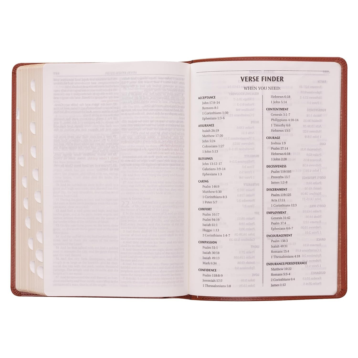 The Holy Bible King James Version LARGE PRINT Thumb Indexed Edition / TAN Faux L