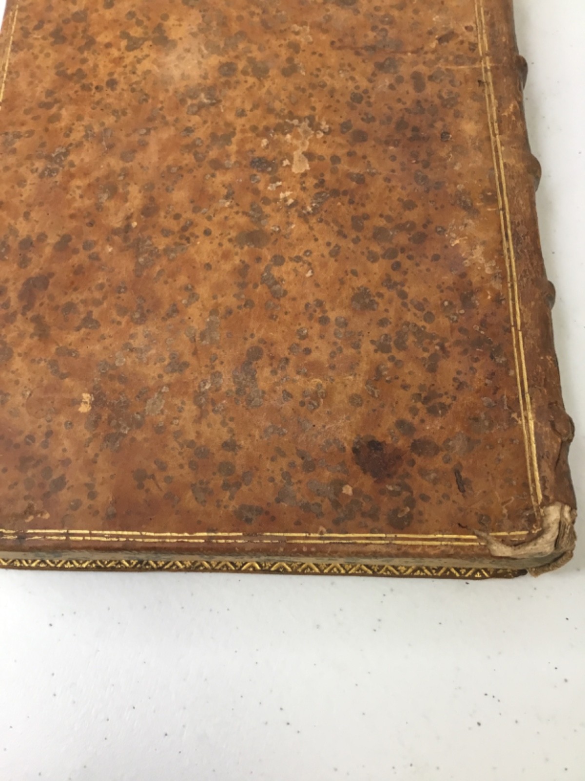 1567 Discours De La Religion Des Anciens Romains, RARE Illustrated Leather Latin