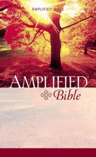 Amplified Bible-AM by Zondervan