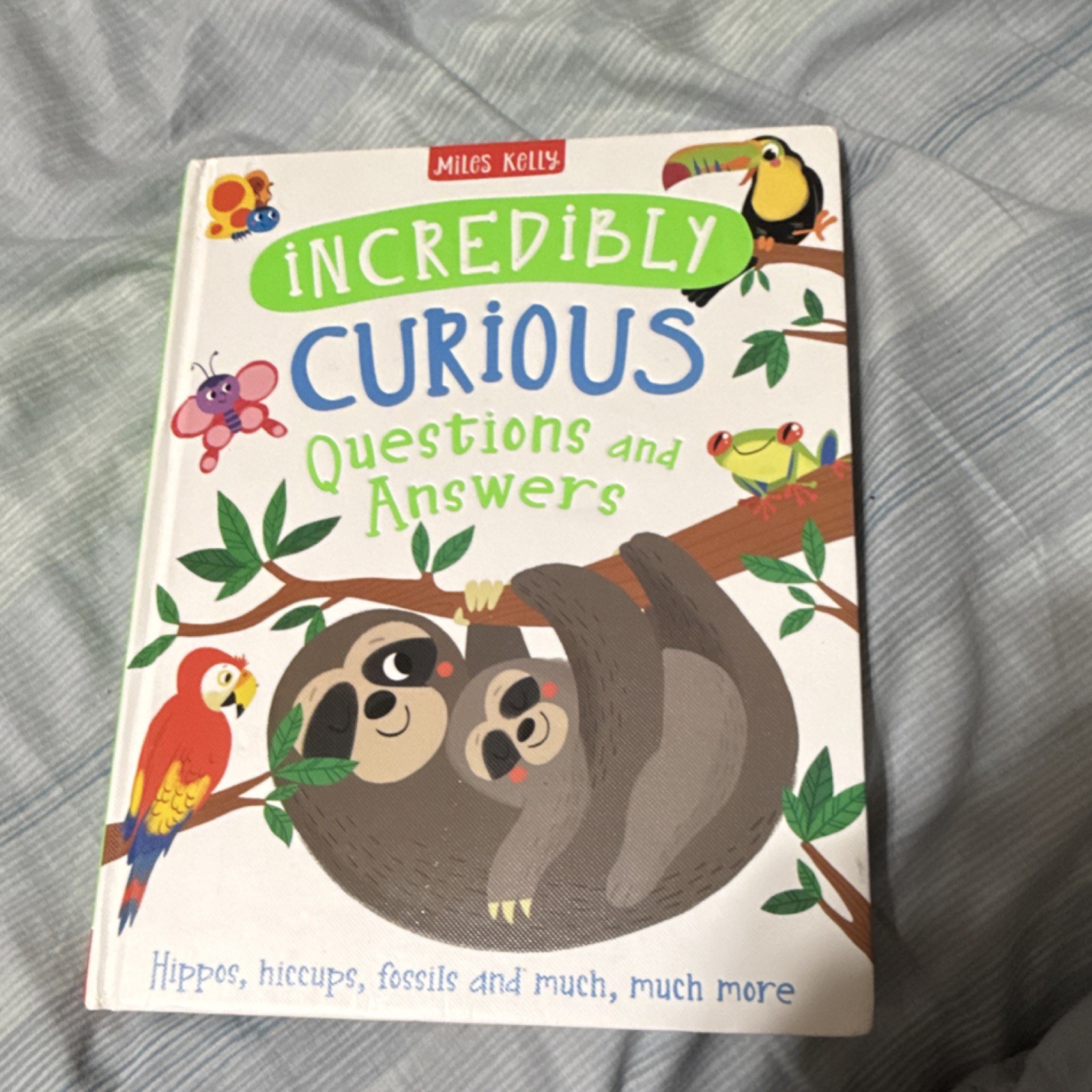 Miles Kelly Incredibly Curious Questions and Answers Hardcover Illustrated Book