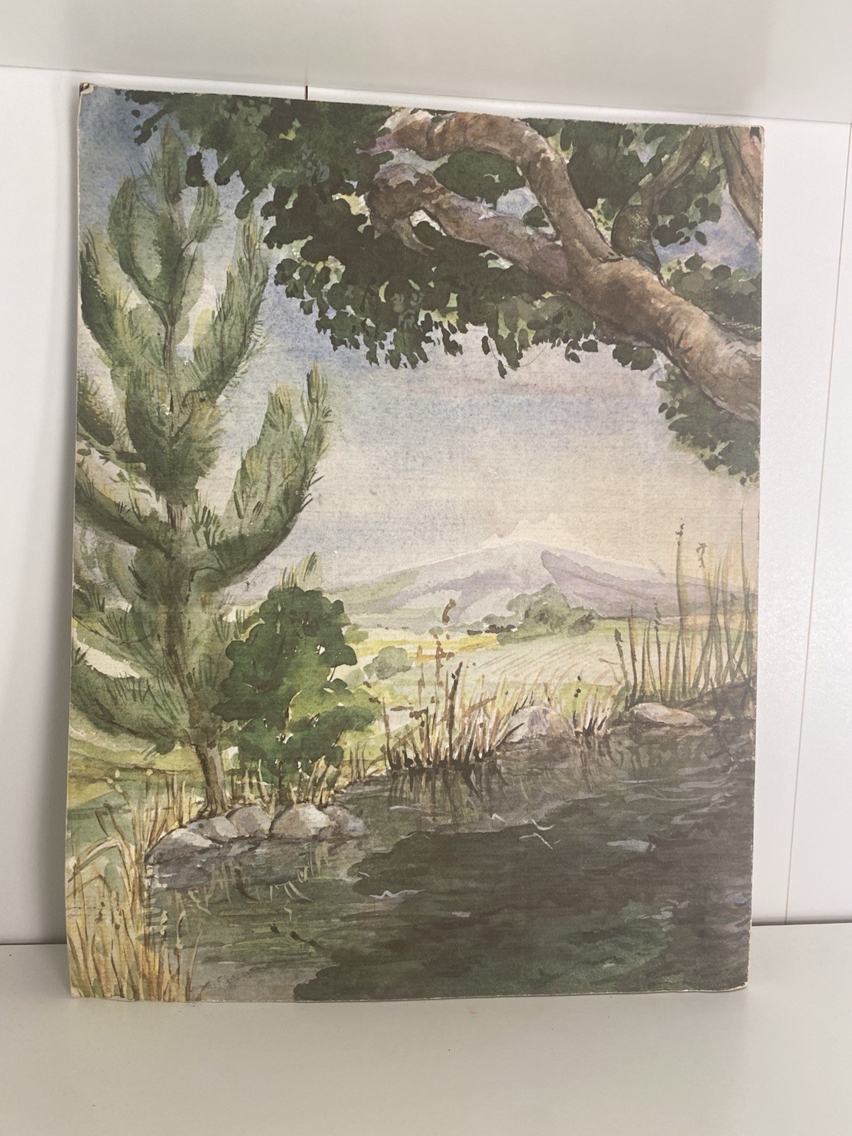 A Book Of Unicorns Paperback Green Tiger Press W/ 12 Removable Art Prints 1978