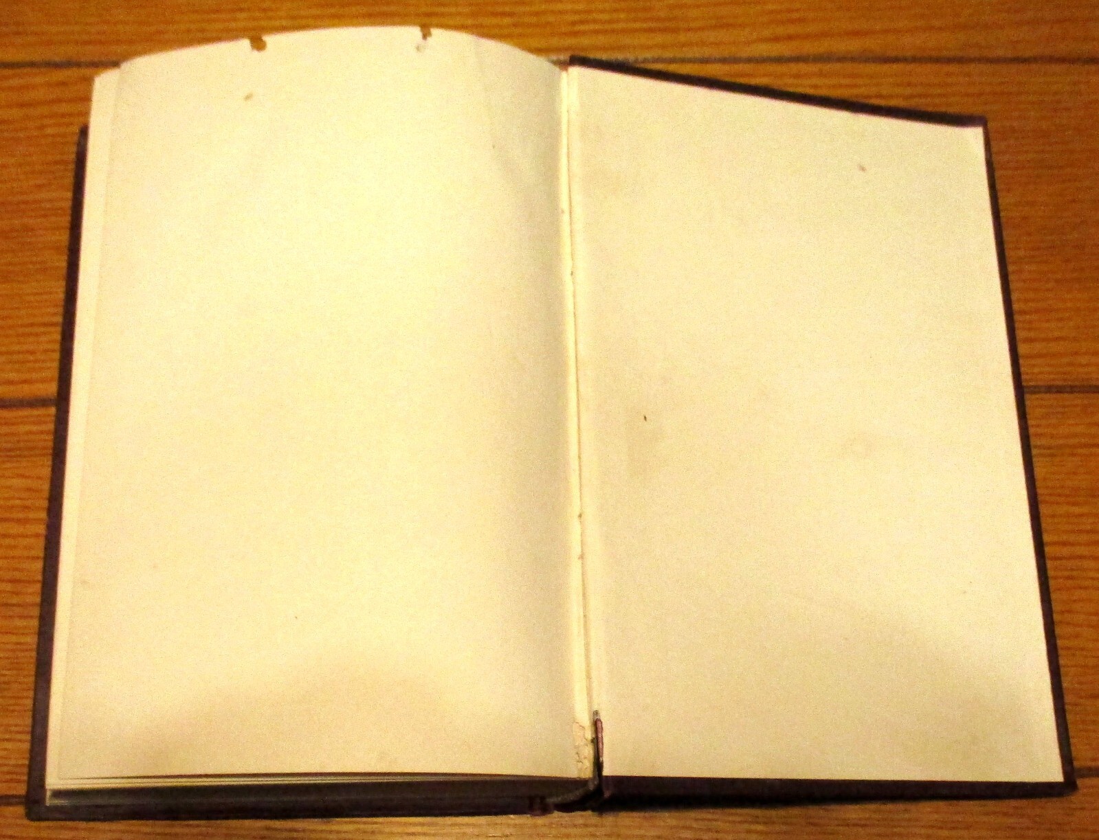 1903 Intuitive Perception “A New Philosophy of Natural Realism” H/C 475 Pages