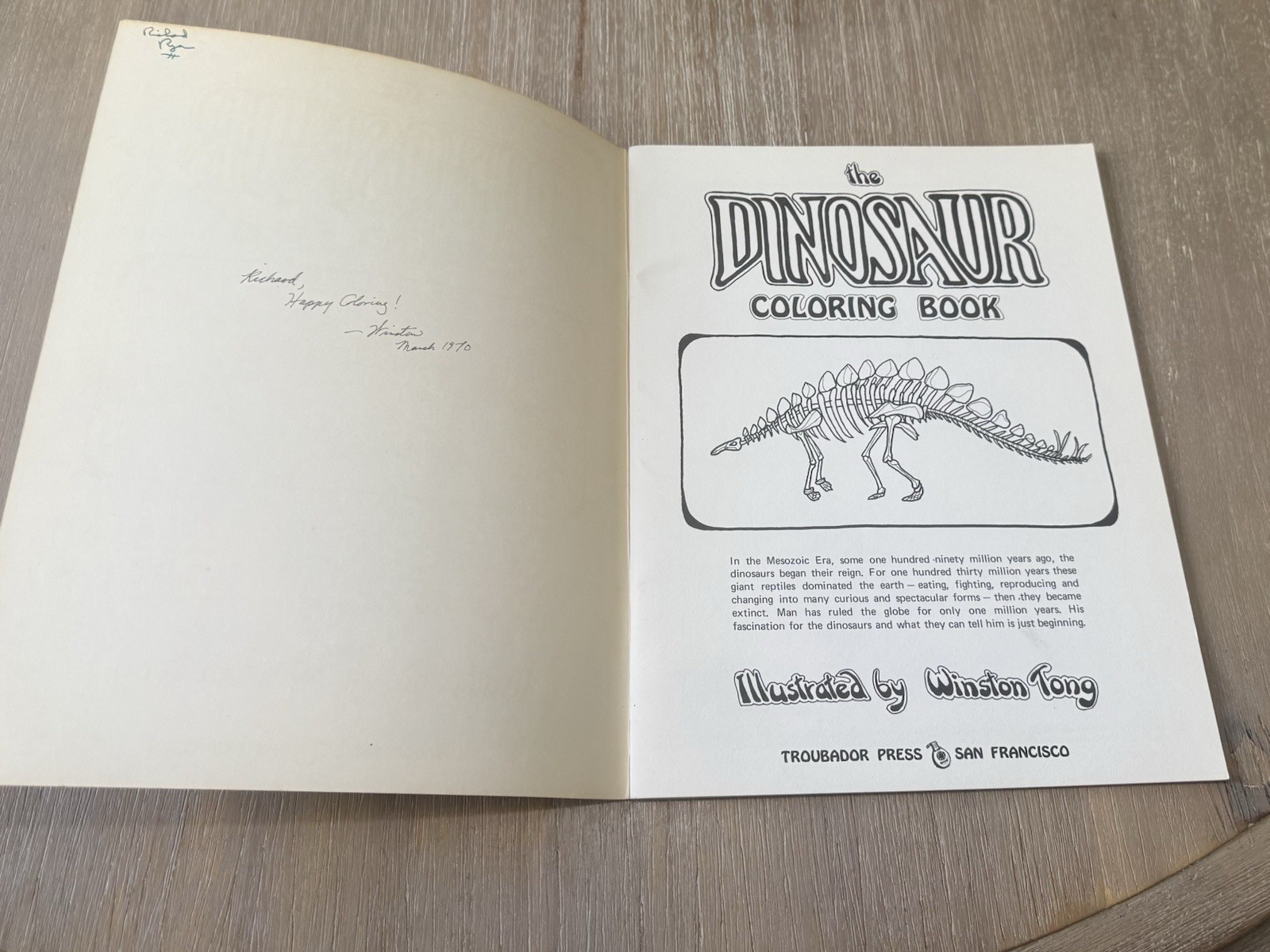 Dinosaur Coloring Book Troubador Press 1970 Retro Unused Oversized