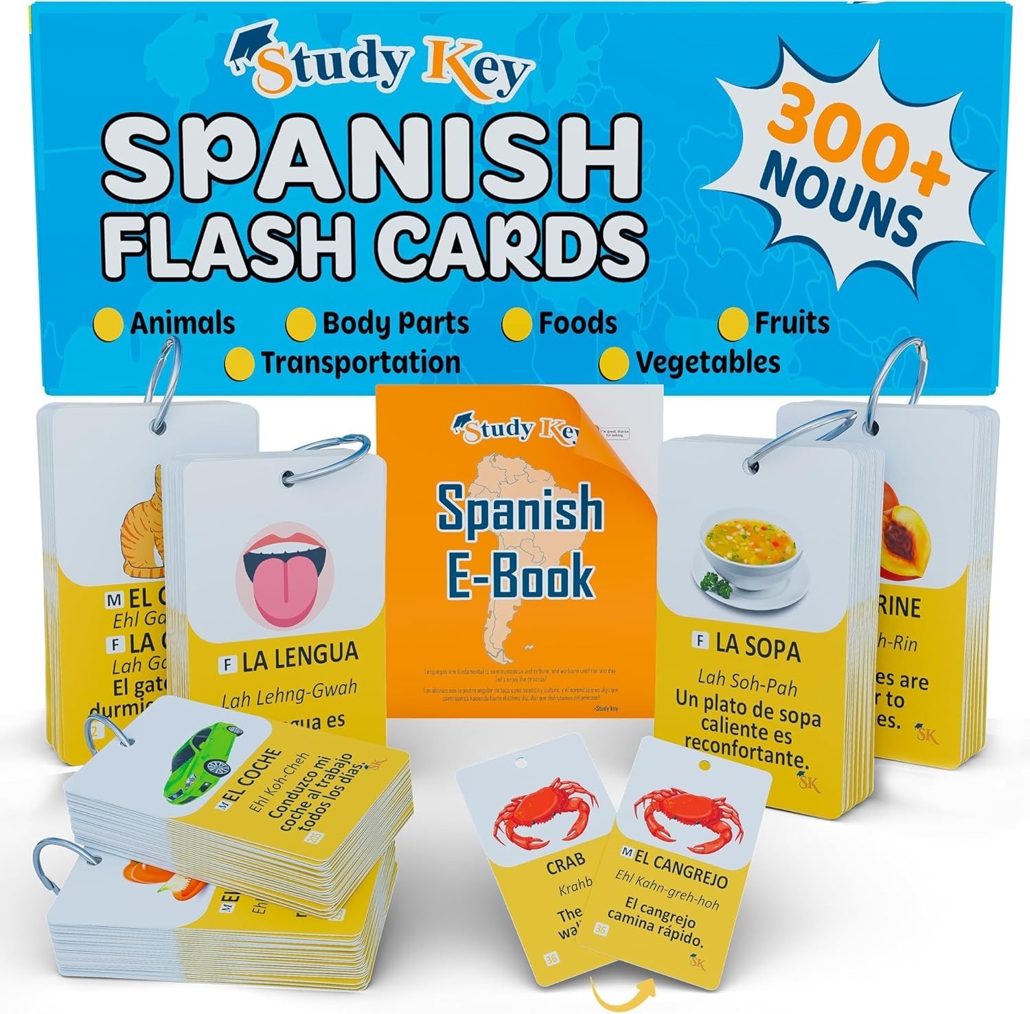 300 Spanish Vocabulary Flashcards Bilingual Learning Game for Adults Kids