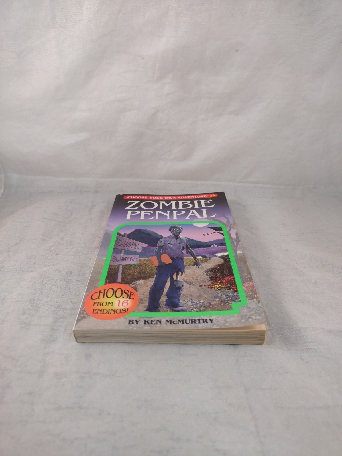 Zombie Penpal Choose Your Own Adventure #34 Paperback Ken McMurtry