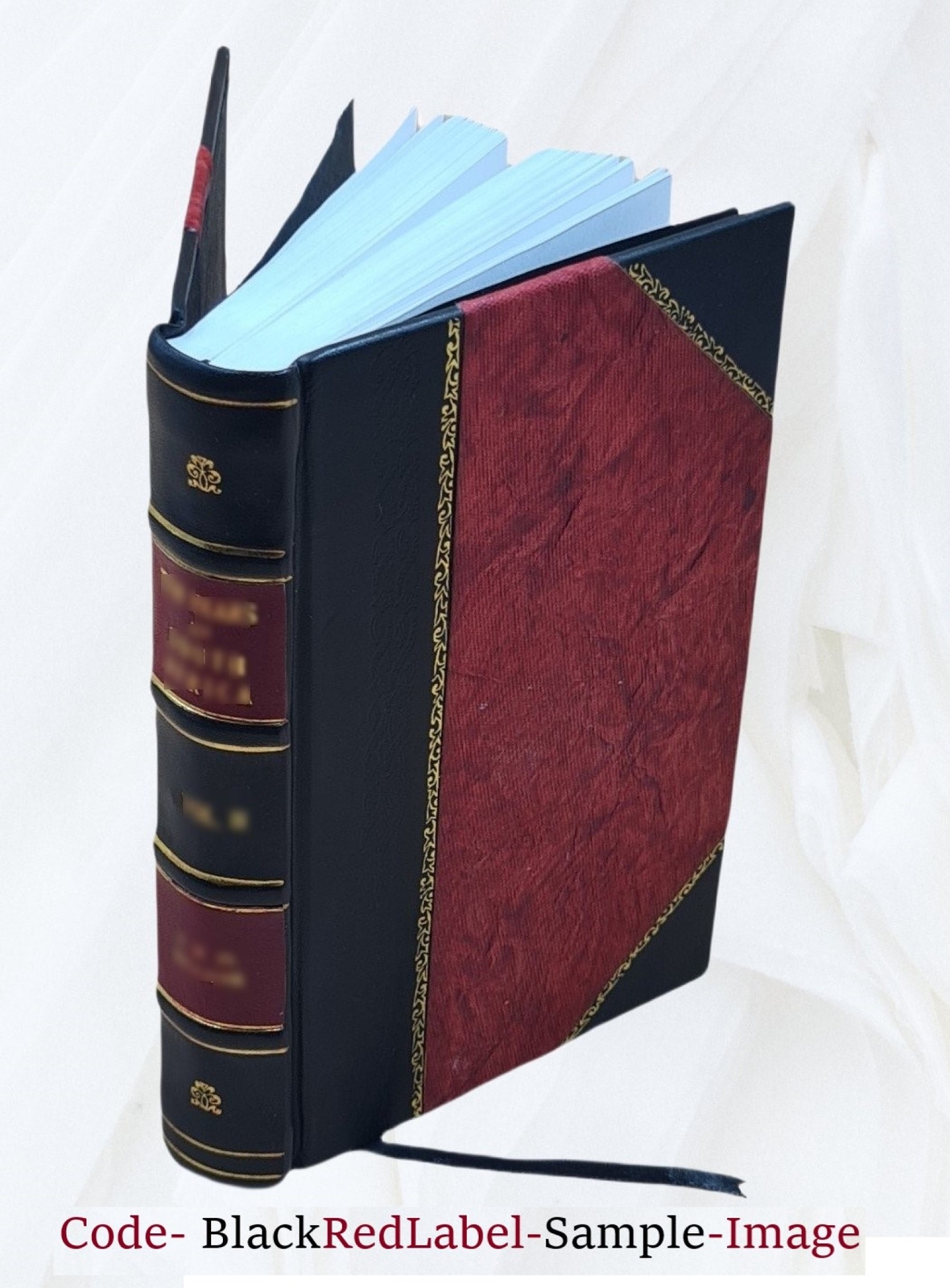 Albertus Magnus : being the approved, verified, sympathetic and [LEATHER BOUND]