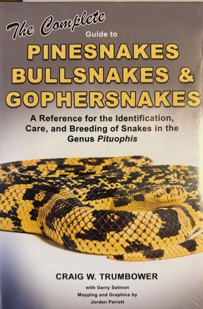 Complete Pituophis Identification Care of Pinesnakes, Bullsnakes & Gophersnakes