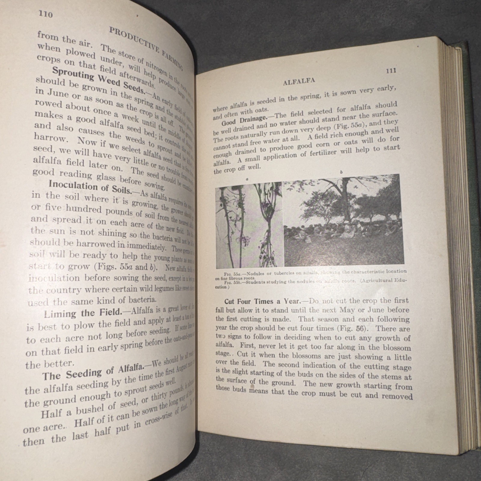 Productive Farming by Kary Davis 1912 Vintage Agriculture Book