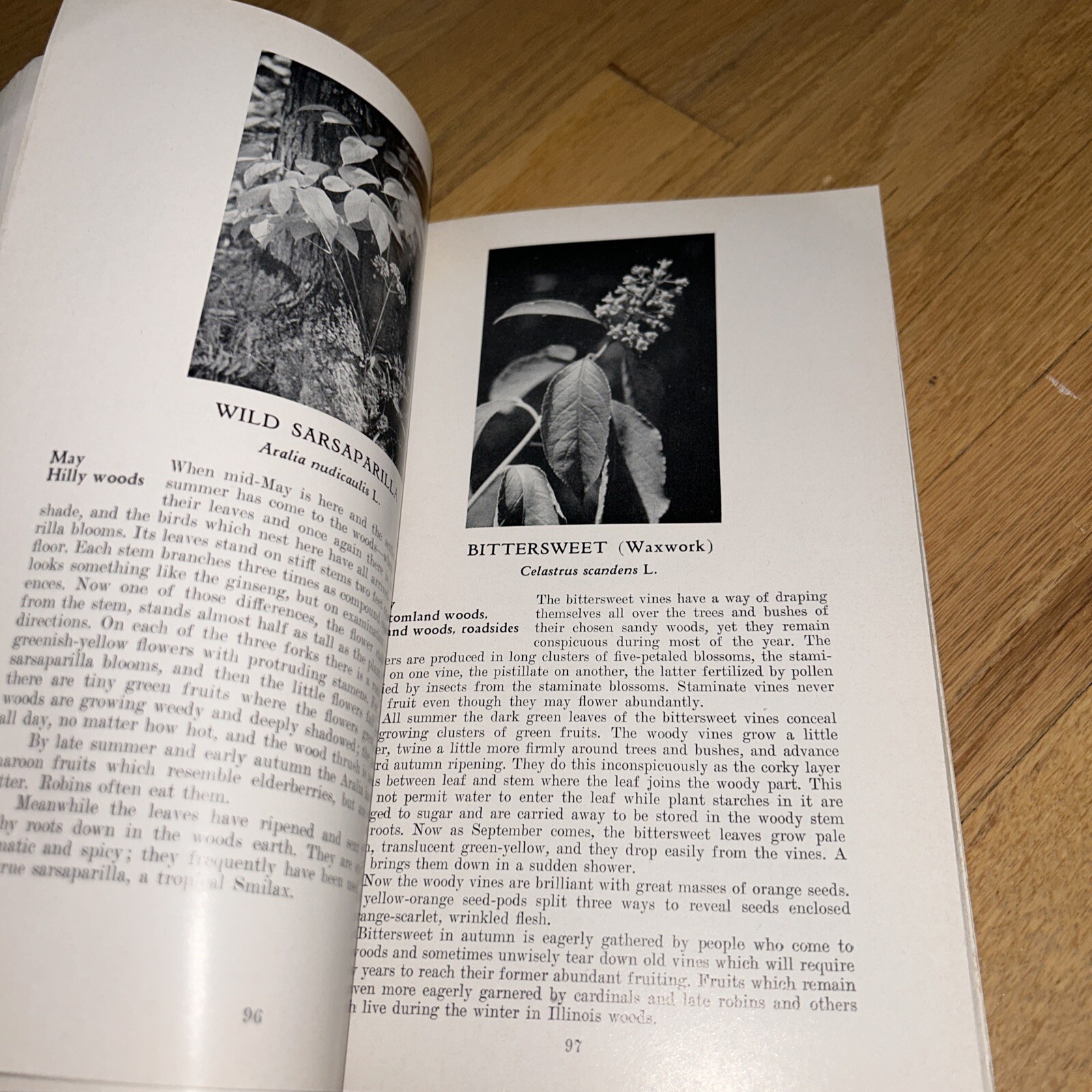 1960 ILLINOIS WILD FLOWERS by John Voss. 256 pages of Photos & Information