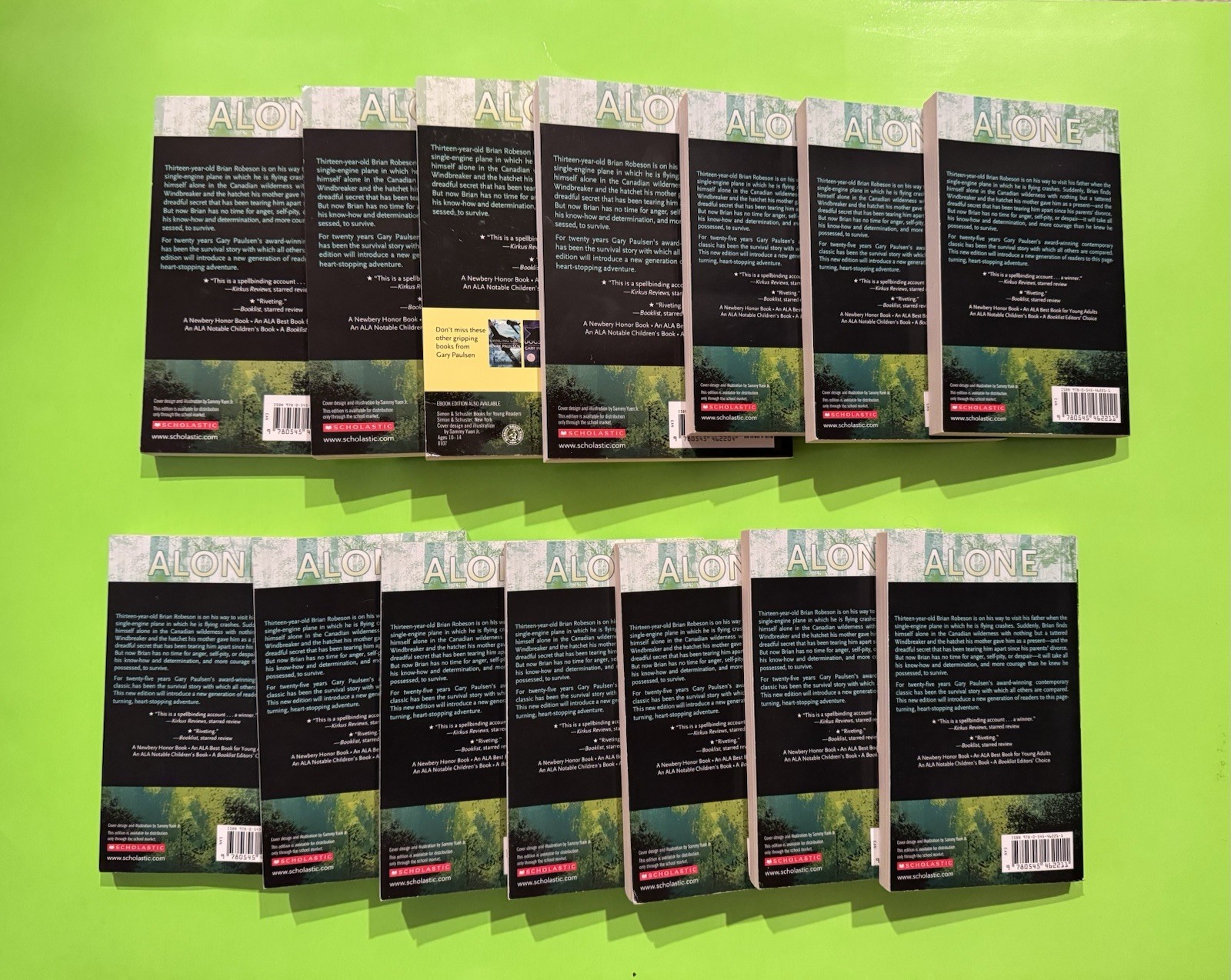A Hatchet Adventure Ser.: Brian’s Hunt by Gary Paulsen (2012) Set Of 14 Books