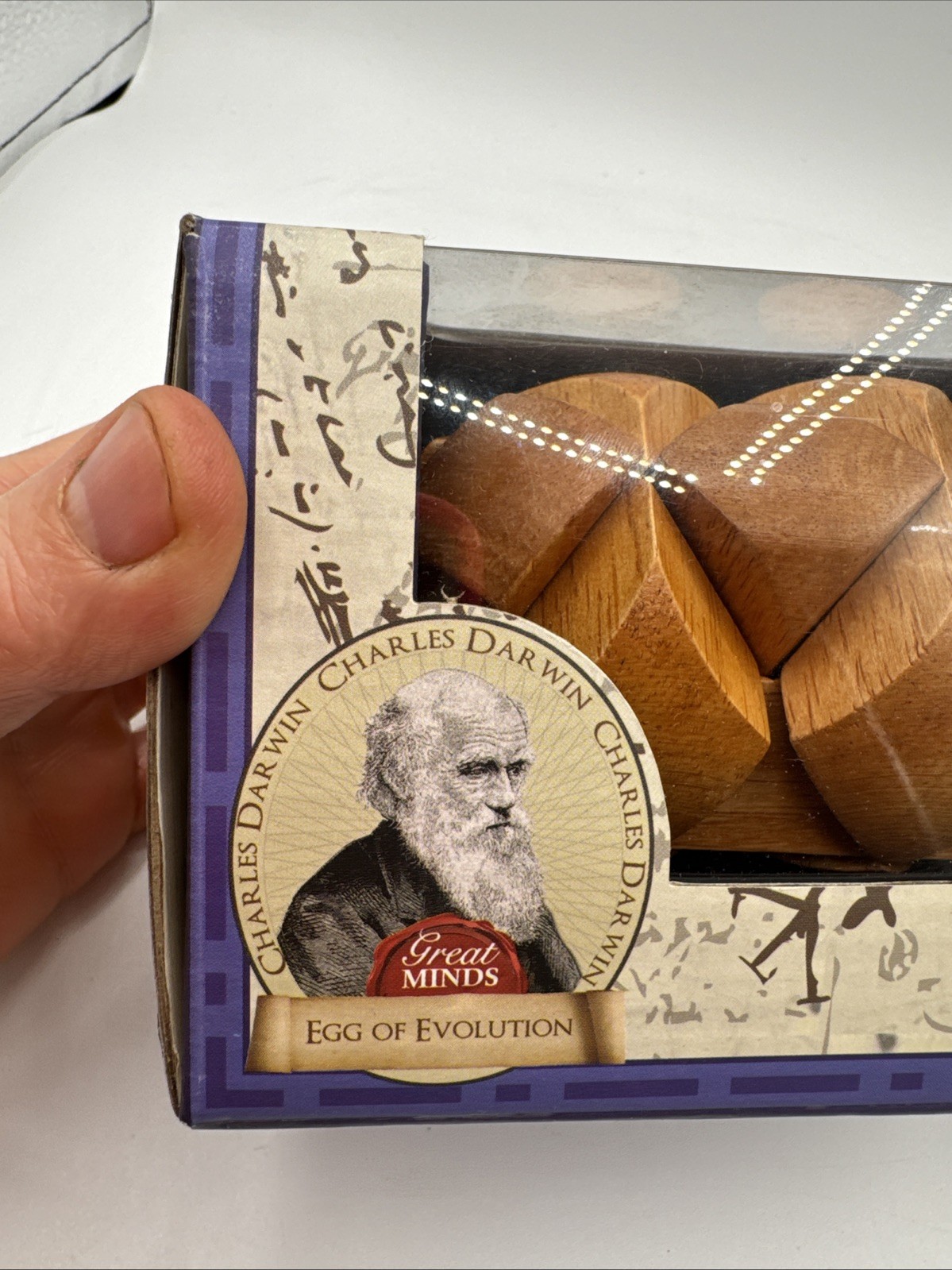 Great Minds Darwin’s Egg of Evolution Puzzle Wood