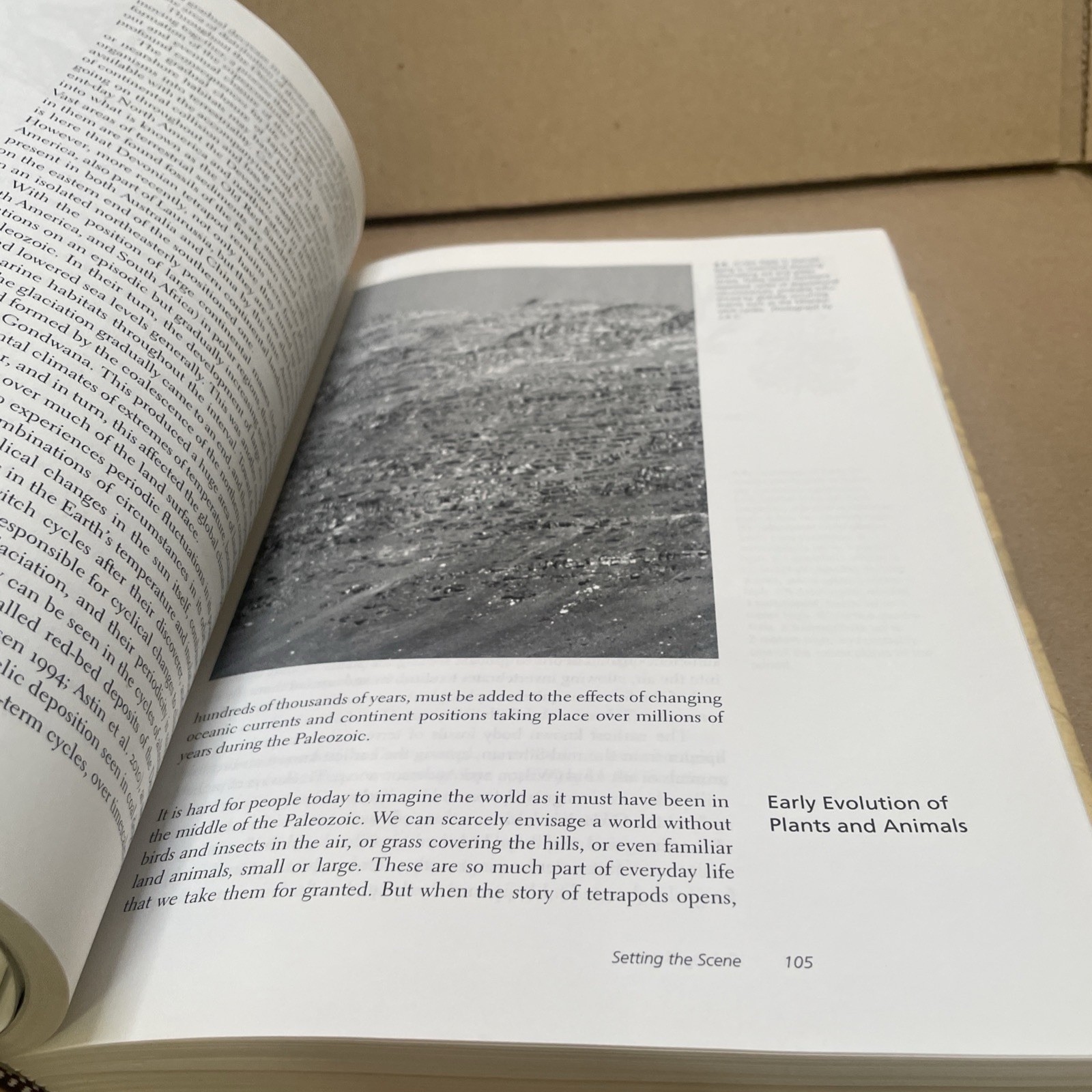Gaining Ground: The Origin and Evolution of Tetrapods by Clack