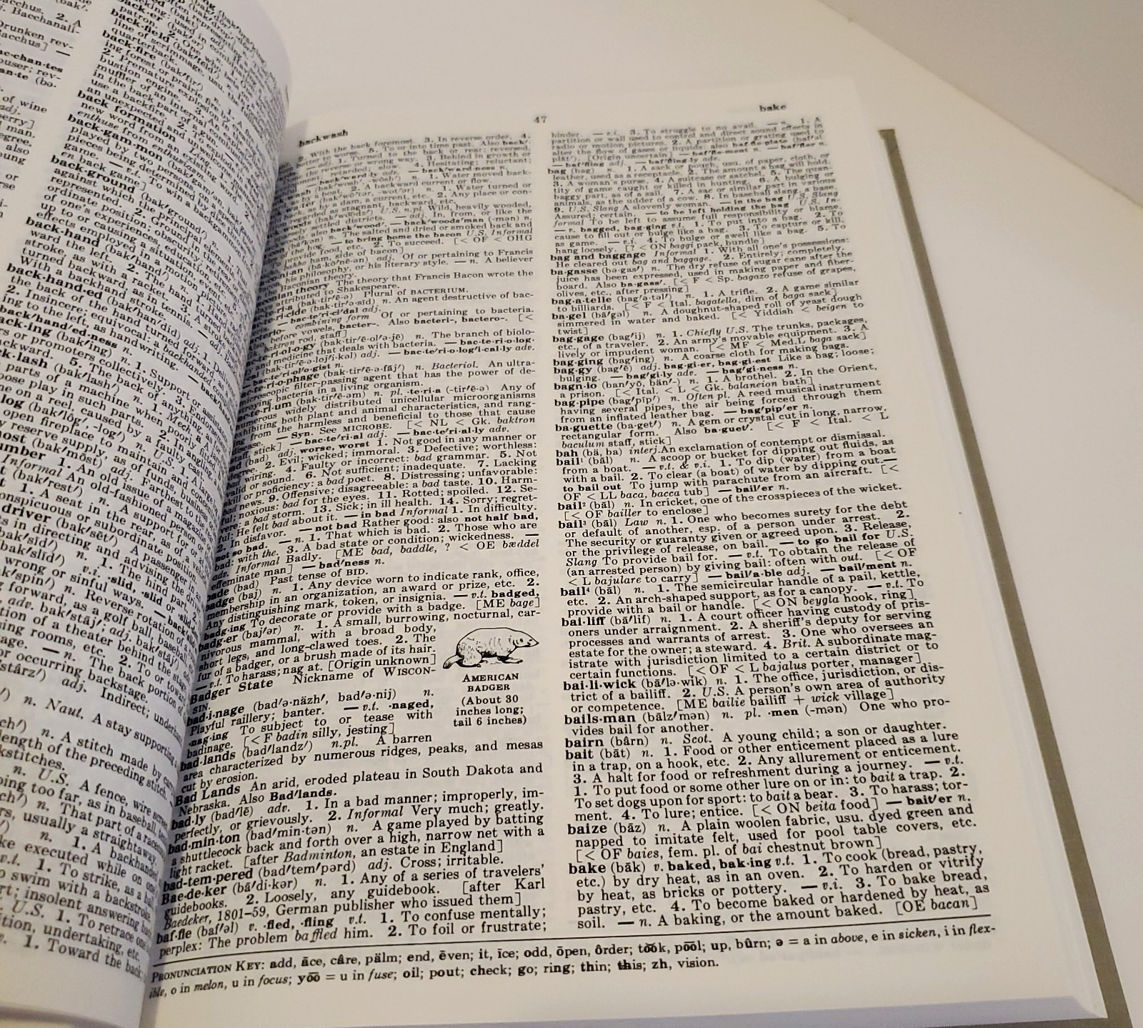 Funk and Wagnalls Standard Desk Dictionary Volumes 1 and 2 Set Hardcover 1984