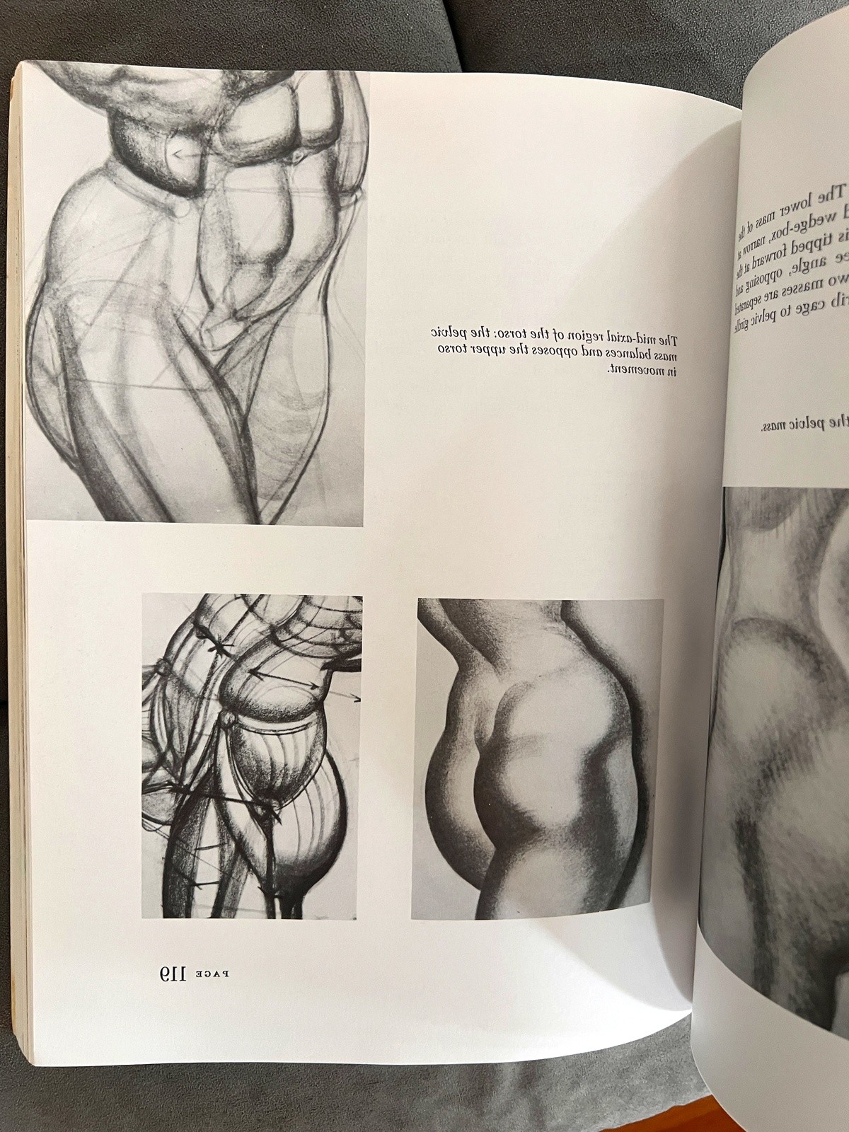 Dynamic Anatomy Burne Hogarth Revised Expanded Edition Figure Drawing Art