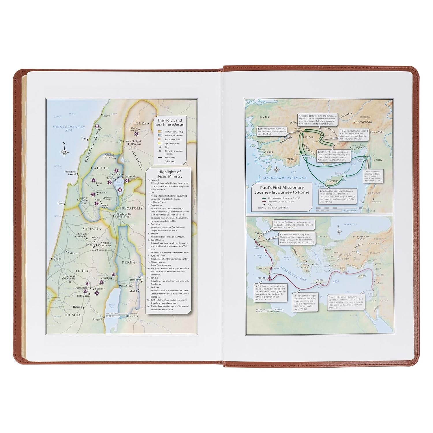 The Holy Bible King James Version LARGE PRINT Thumb Indexed Edition / TAN Faux L