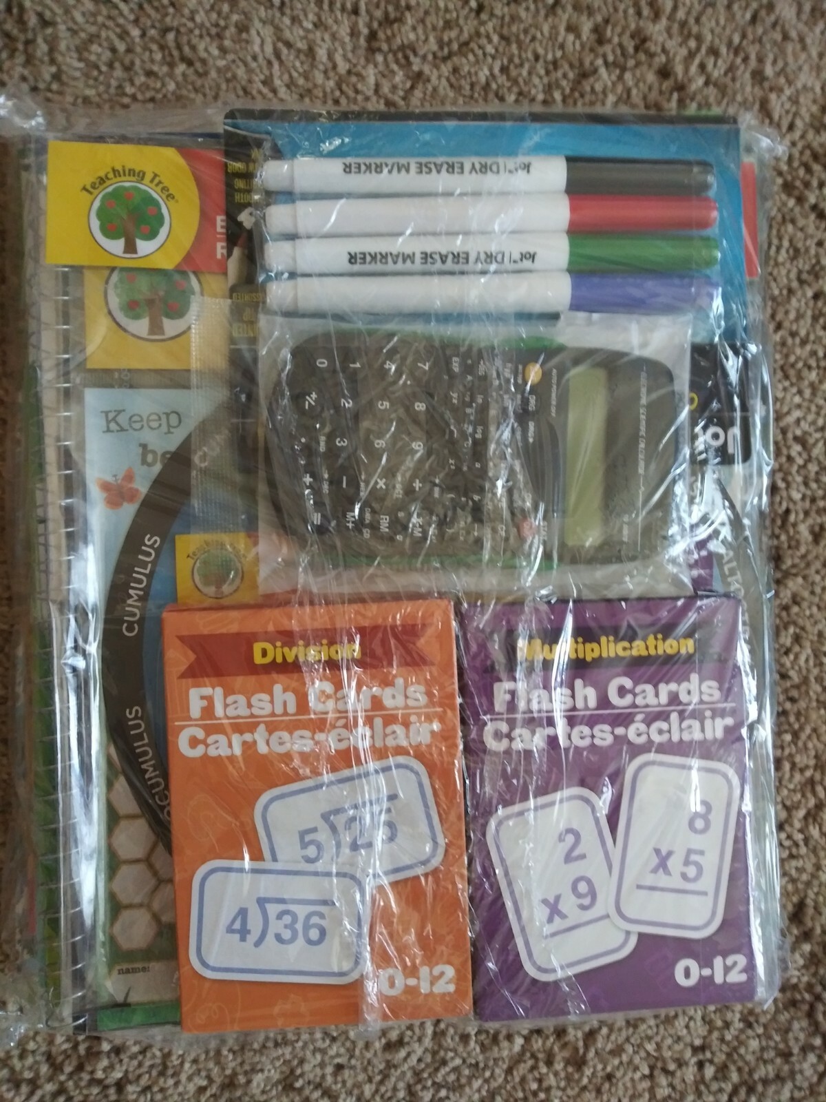 5th Fifth Grade:Homeschool Curriculum: Grammar, Math, Reading, Science & History