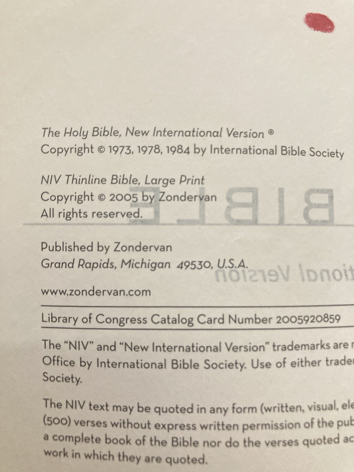 NIV 2005 Large Print Thinline Bible -Black Top Grain Genuine Leather-OOP 84