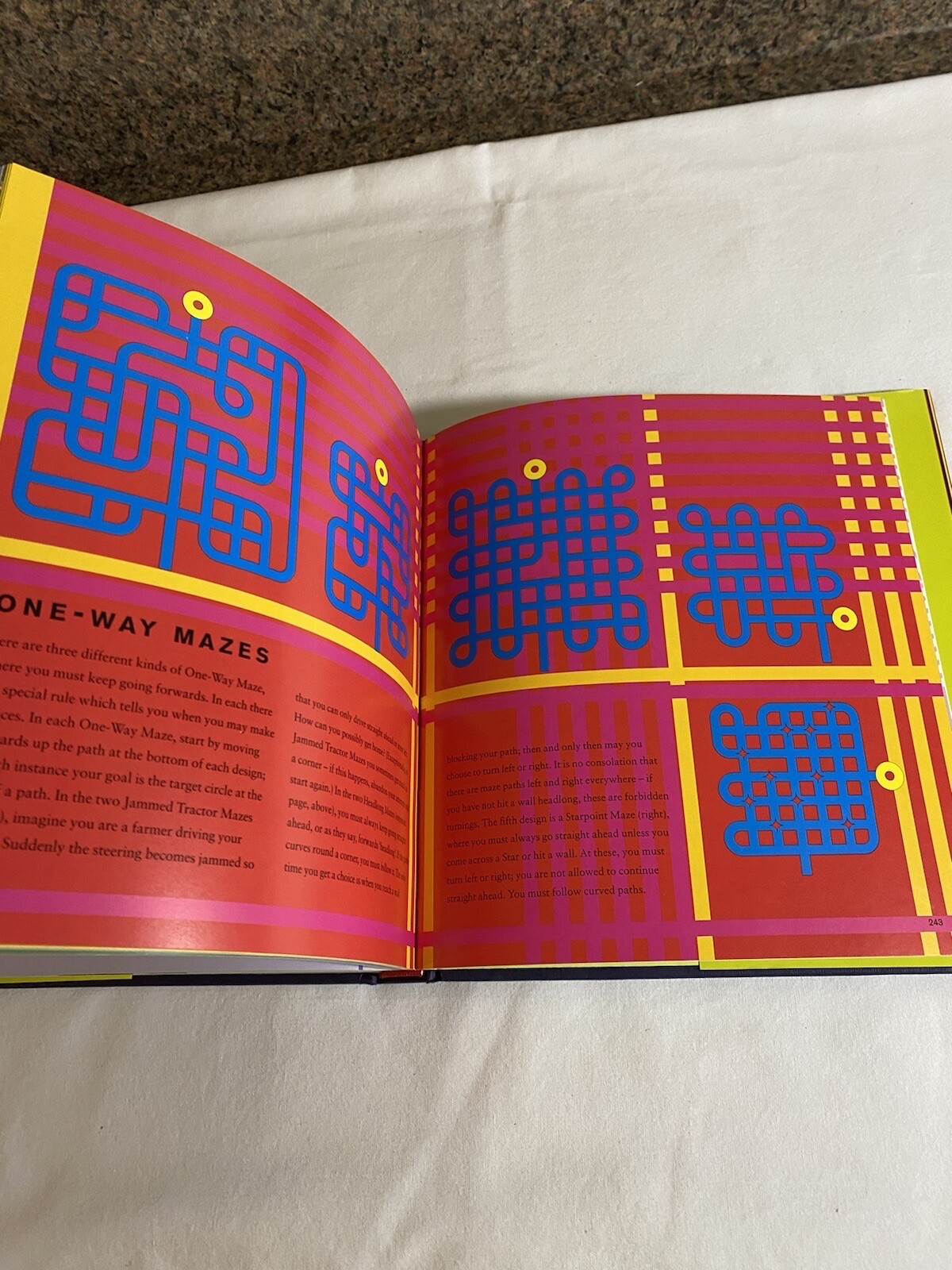 The Amazing Book Of Mazes Adrian Fisher 264 Pages Hardcover 2006
