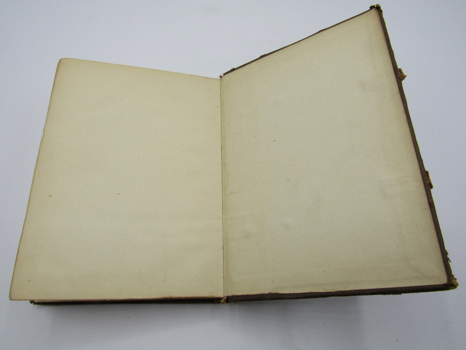 Fine binding John Ruskin St. Mark’s Rest History of Venice 1910 clasps